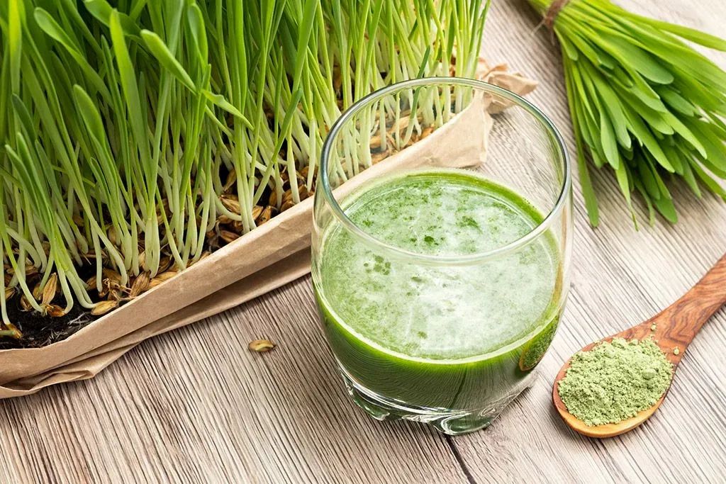 nur.fit BIO Gerstengras Pulver