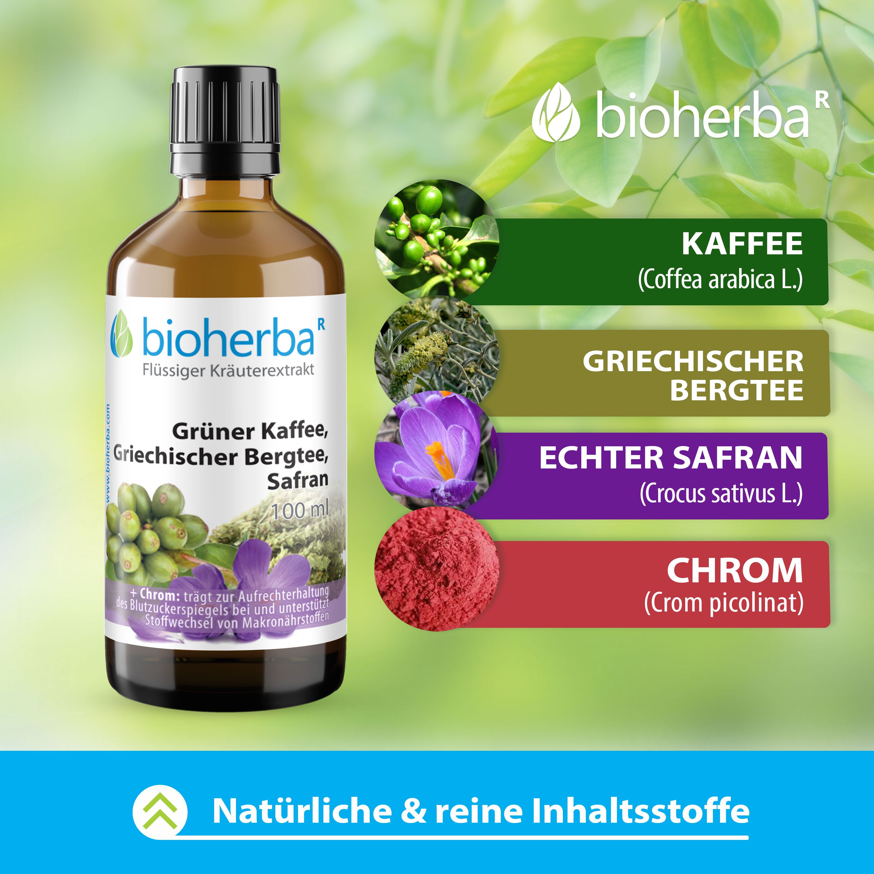Bioherba Grüner Kaffee Griechischer Bergtee Safran Tropfen Tinktur