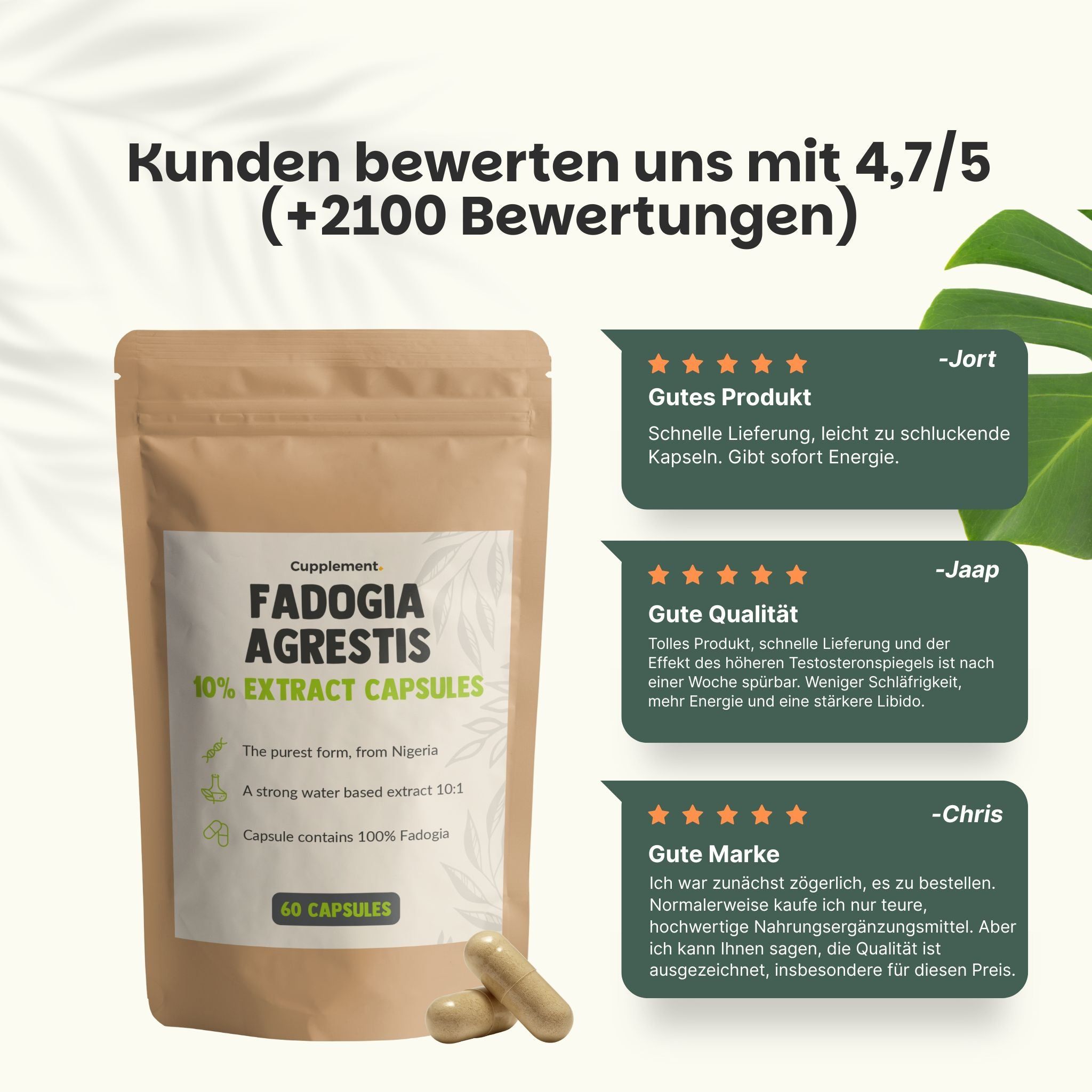 Beutel mit 60 Kapseln. Aufschrift: Fadogia Agrestis 10% Extract Capsules. Kundenbewertung 4,7/5.