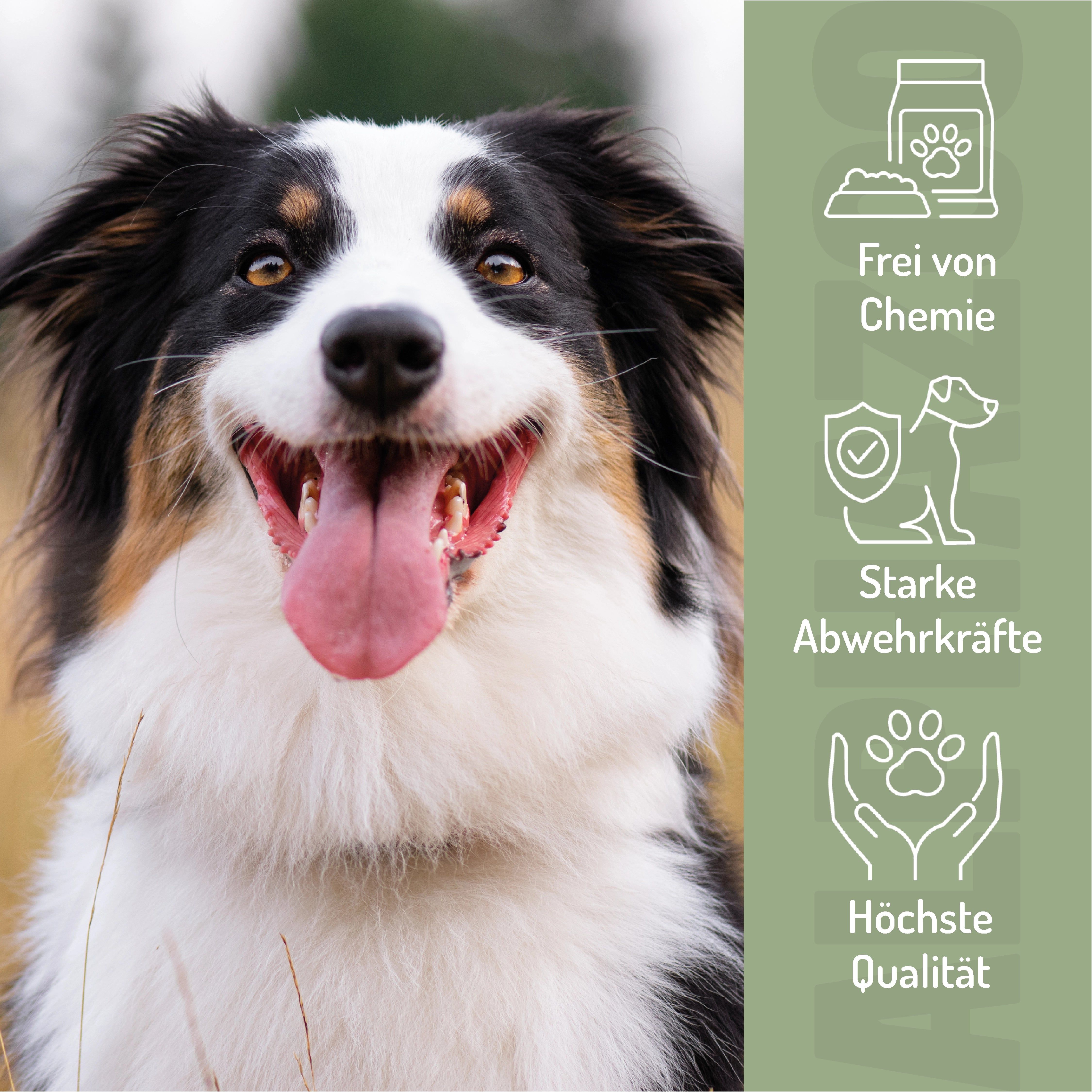 Hund mit offenem Maul. Icons: Frei von Chemie, Starke Abwehrkräfte, Höchste Qualität. Text: Für glänzendes Fell & vitale Haut.