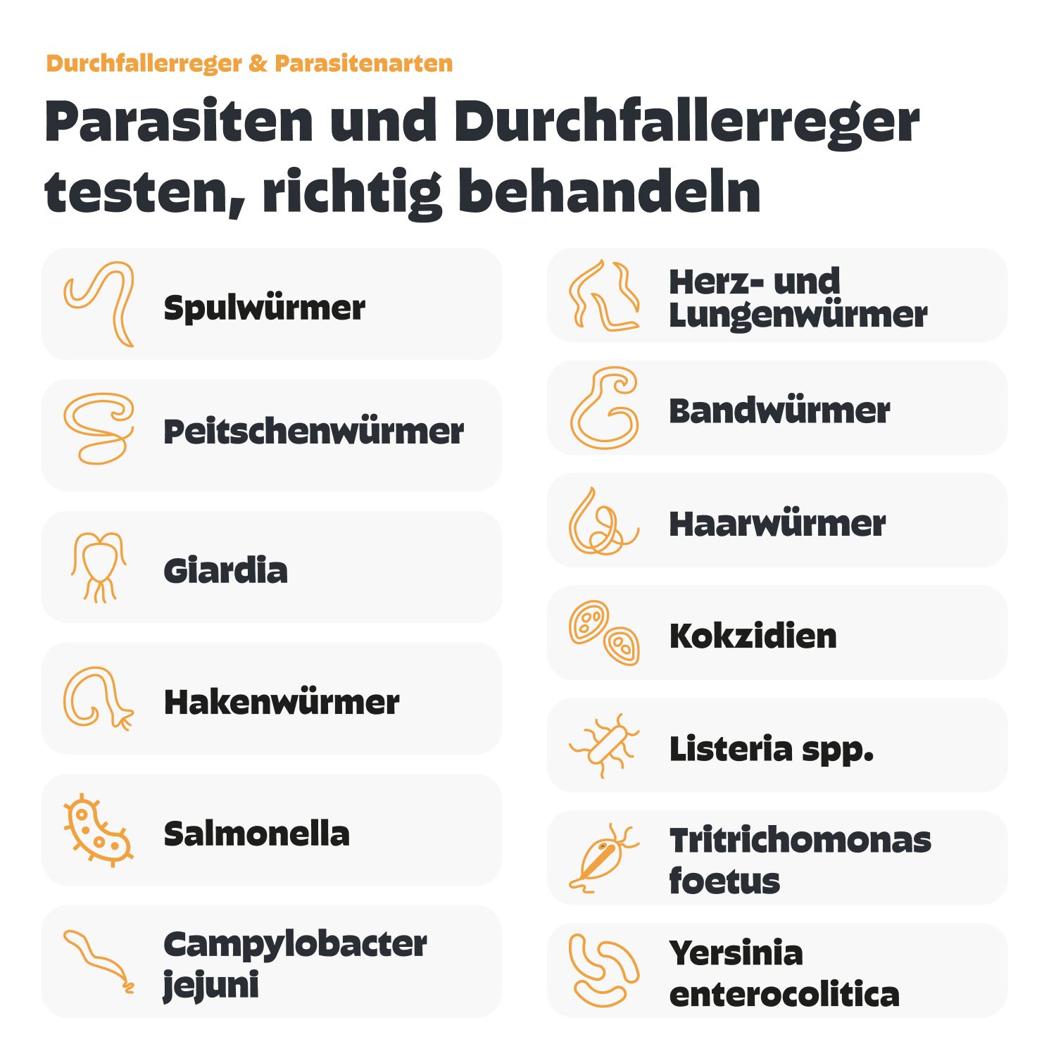 Infografik: Parasiten und Durchfallerreger testen. Spulwürmer, Peitschenwürmer, Giardia, Hakenwürmer, Salmonellen, etc.