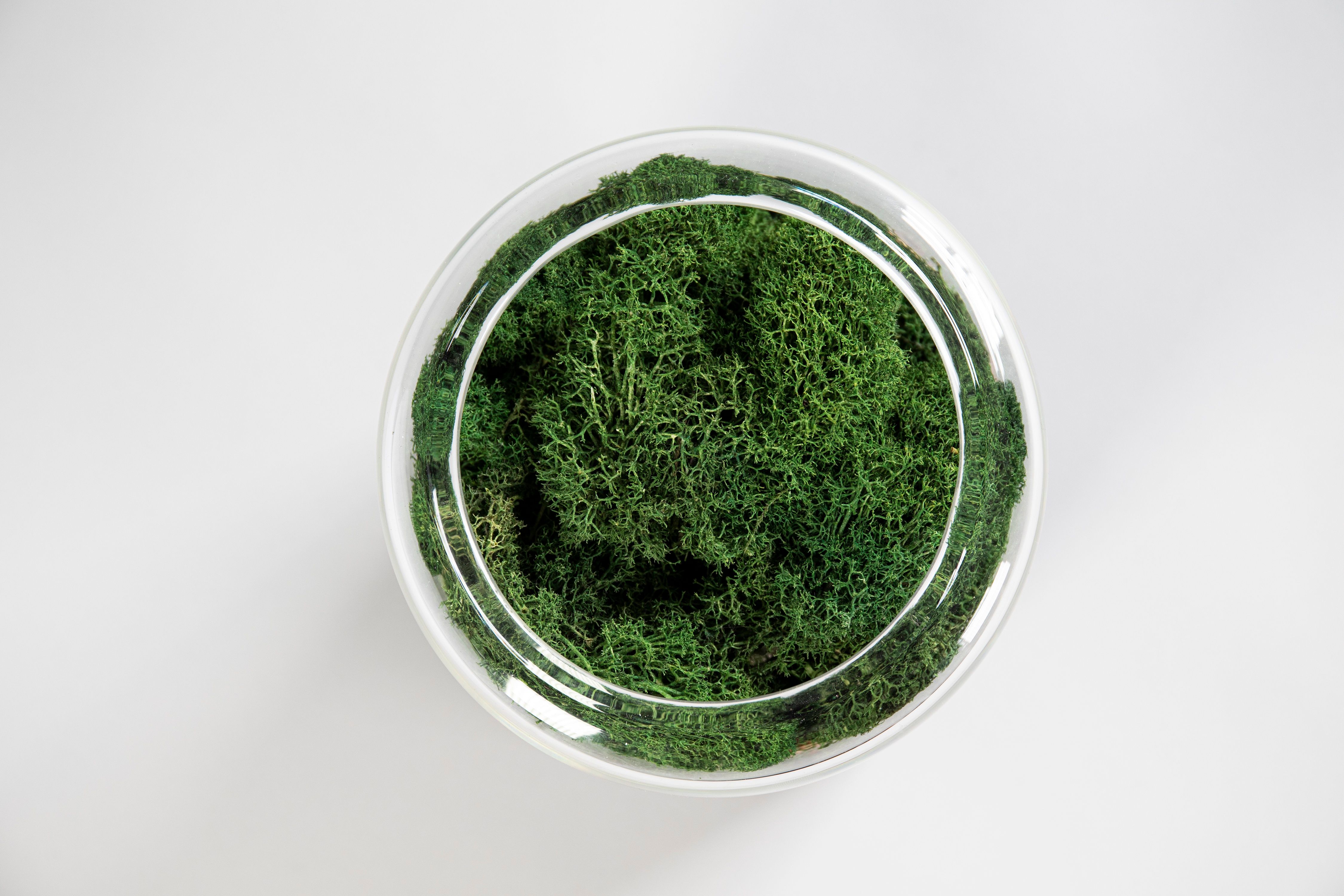 BRIIV 2 Pro Luftreiniger mit App und Messung