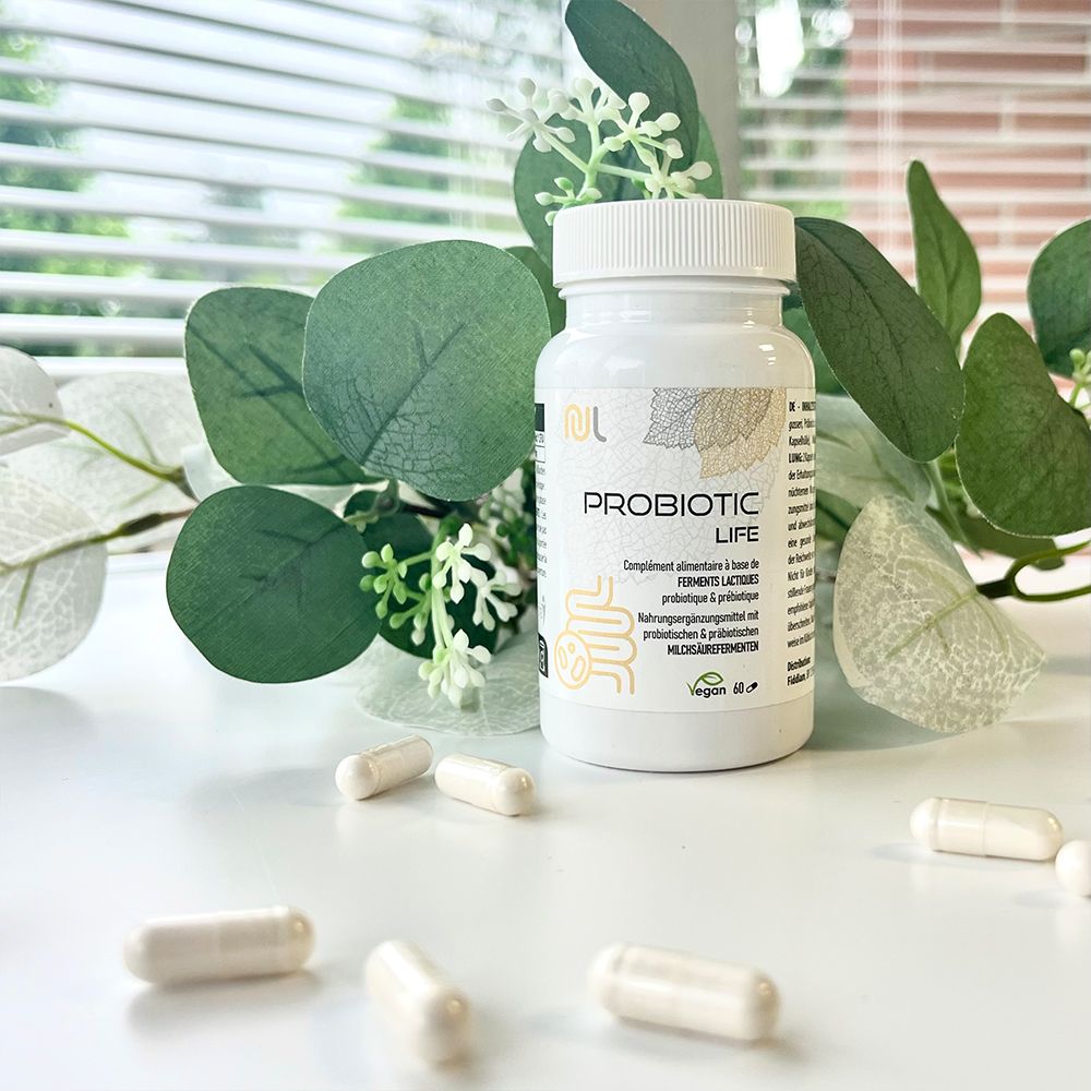 Weiße Flasche mit Kapseln. PROBIOTIC LIFE, vegan. Einige Kapseln liegen verstreut. Hintergrund: grüne Blätter und Fenster.