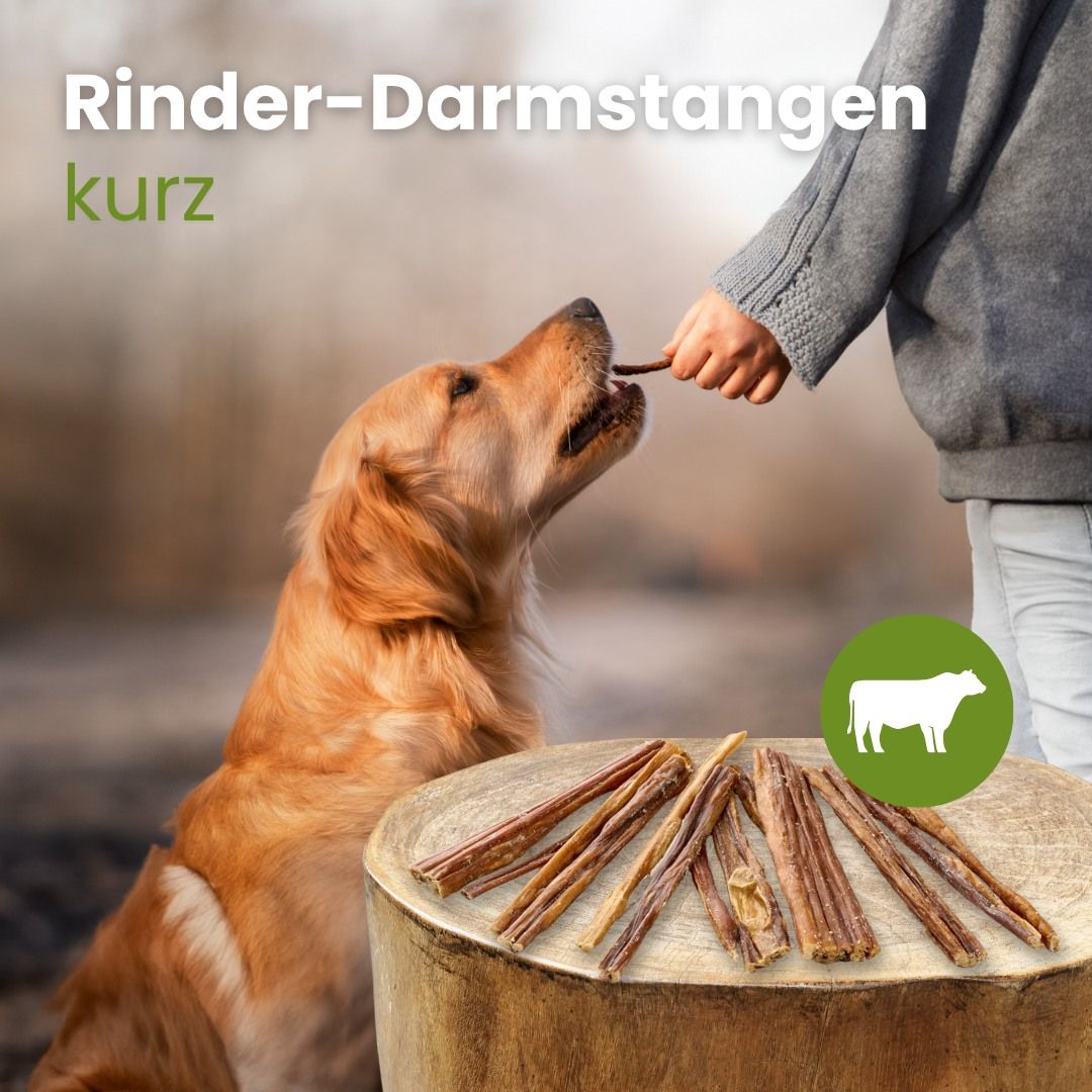 Ein Hund frisst einen Kauartikel, der ihm von einer Hand gereicht wird. Mehrere kurze Rinder-Darmstangen liegen auf einem Holzstamm.