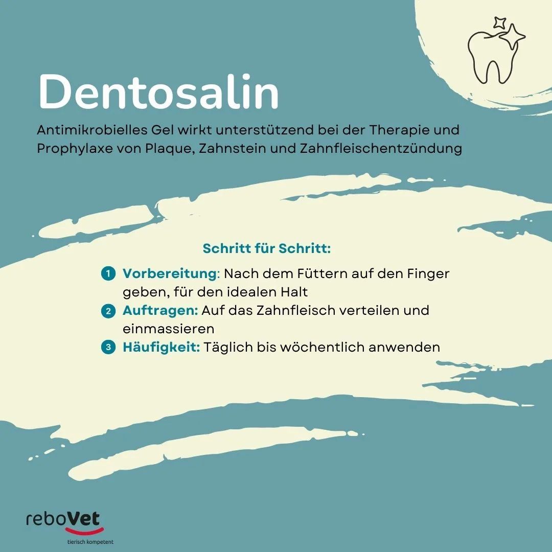 reboVet Dentosalin Adhäsives Zahngel