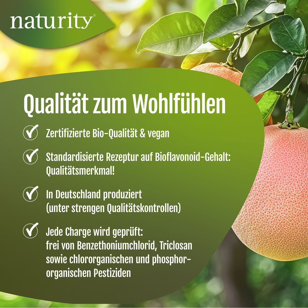 Produktinformationen mit Text: Zertifizierte Bio-Qualität, vegan, standardisierte Rezeptur, hergestellt in Deutschland, geprüft.