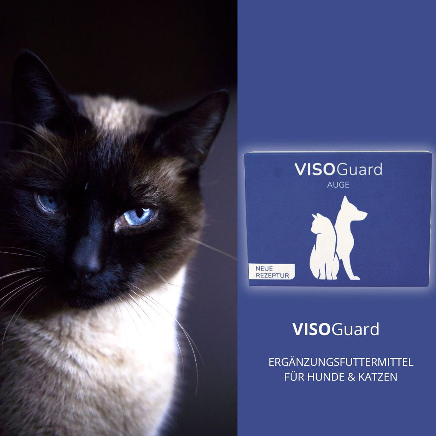 reboVet ReboTabs VISOGuard