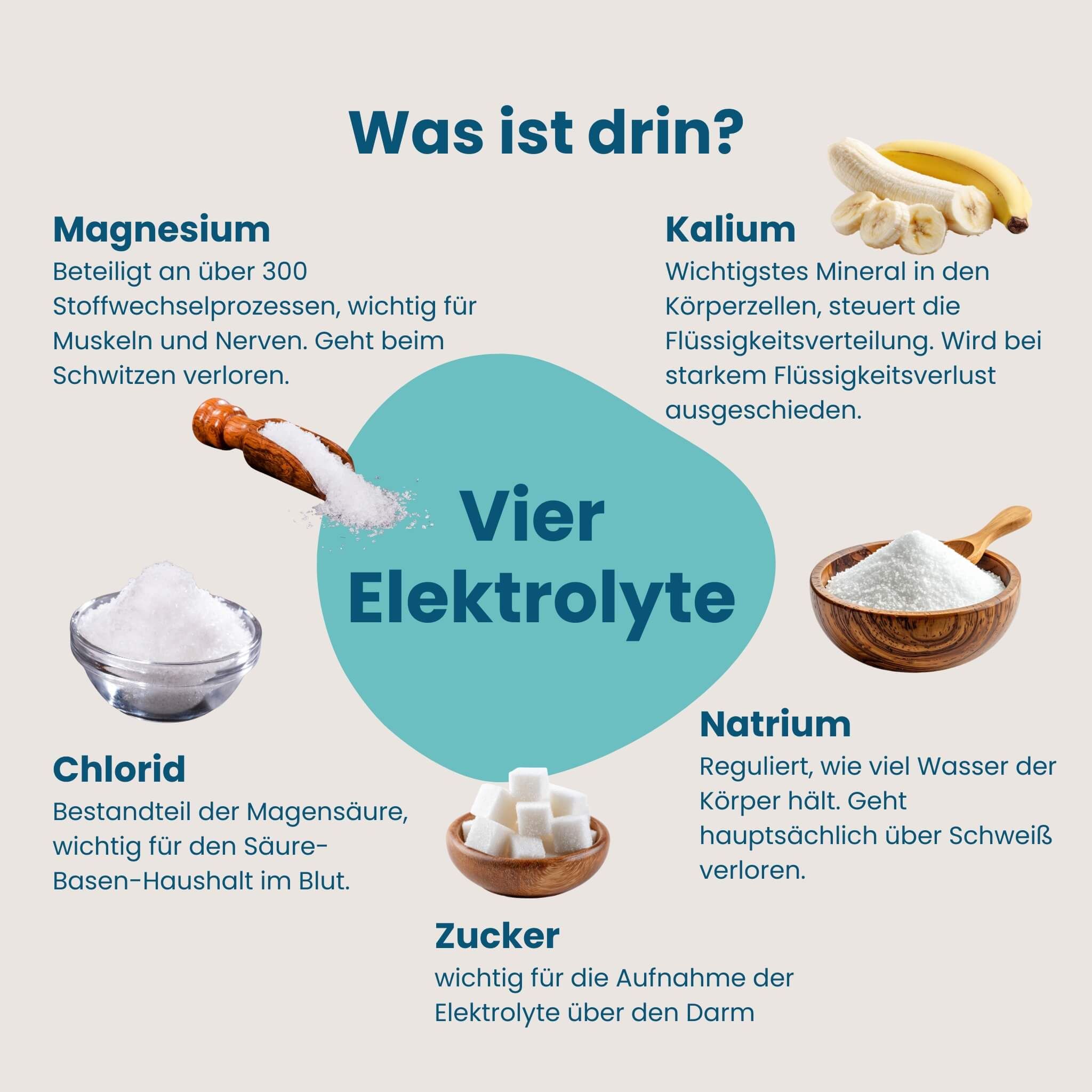 Vier Elektrolyte: Magnesium, Kalium, Chlorid, Natrium und Zucker. Mit Abbildungen.