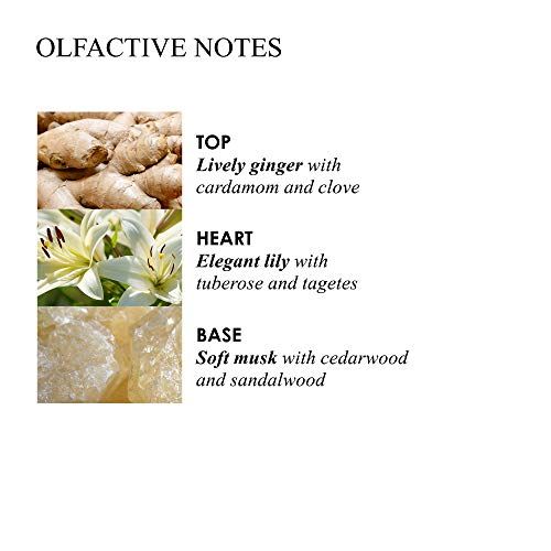 Text mit Olfaktorischen Noten. Oben: Lebendiger Ingwer. Mitte: Elegante Lilie. Unten: Weisser Moschus.