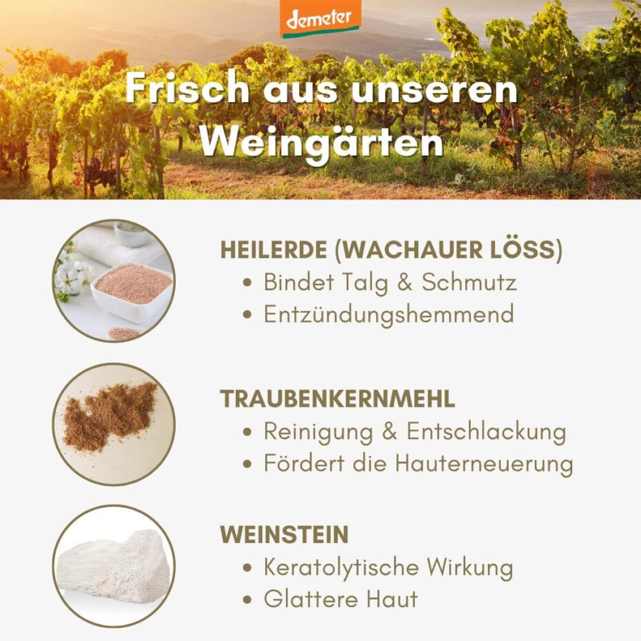 Infografik mit Inhaltsstoffen: Heilerde, Traubenkernmehl, Weinstein. Text: Bindet Talg & Schmutz, Reinigung & Entschlackung, uvm.
