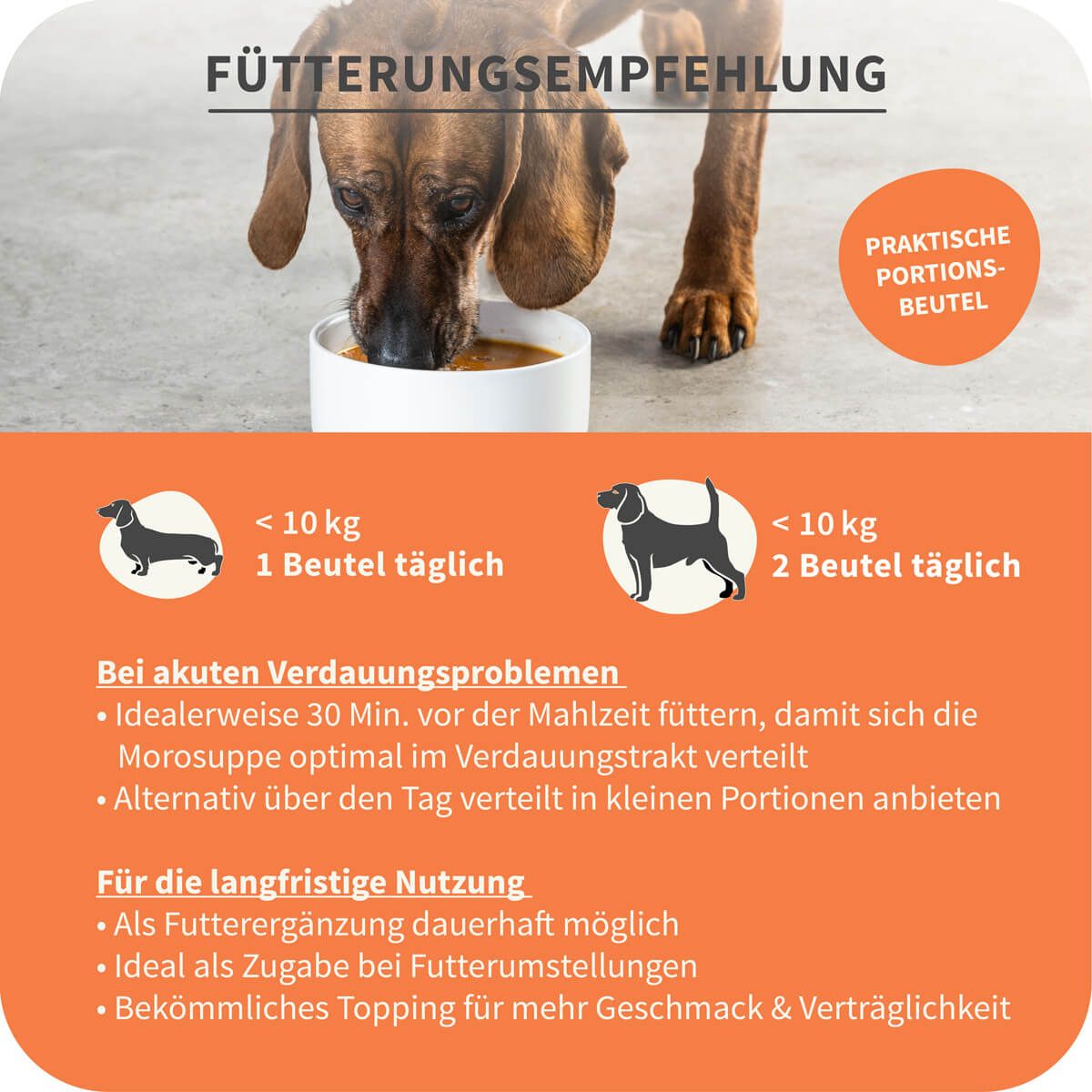 Hund isst aus Schale. Text: Fütterungsempfehlung. Für Hunde unter 10 kg: 1 Beutel täglich. Bei Verdauungsproblemen: 30 Min. vor Mahlzeit.