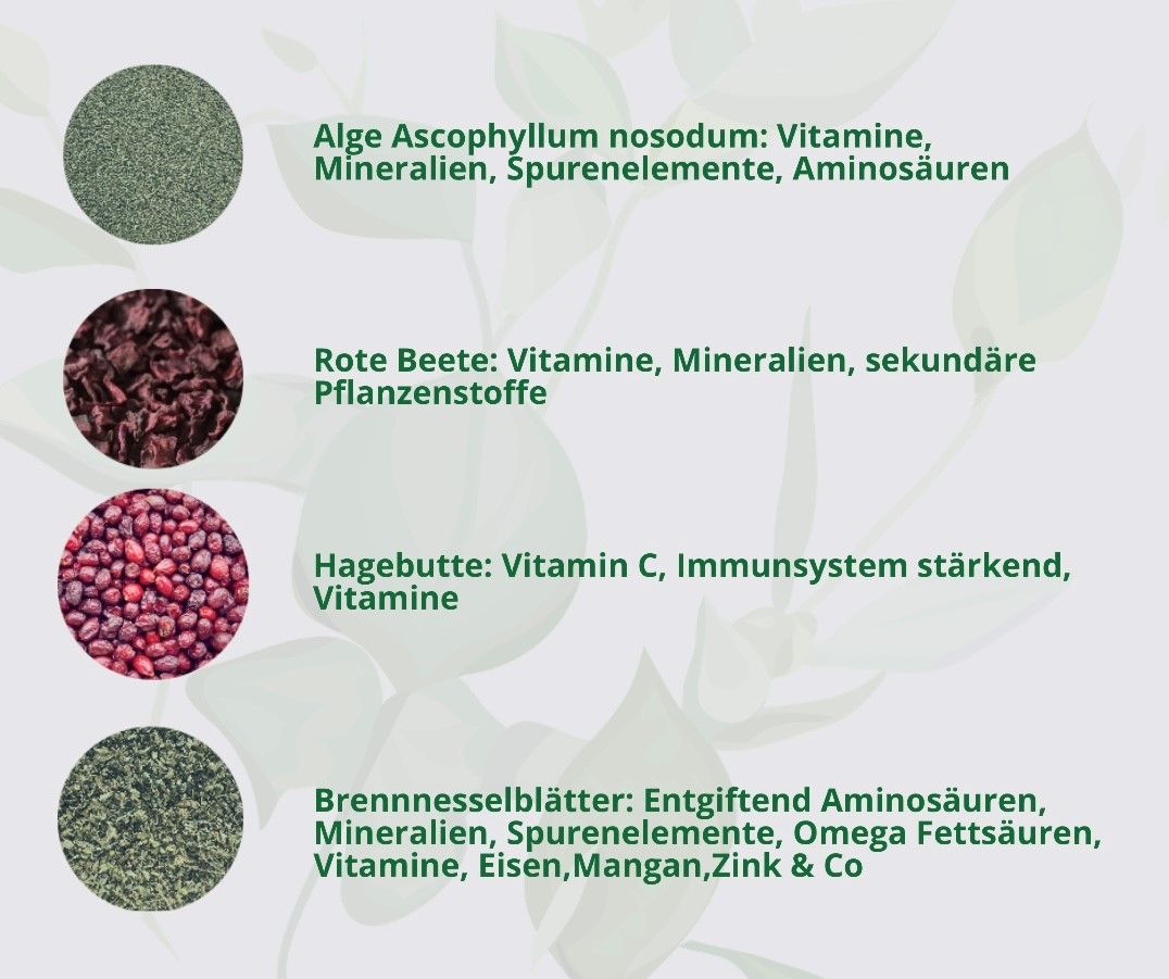Hand aufs Pferd/Hund Mineralien VitMin