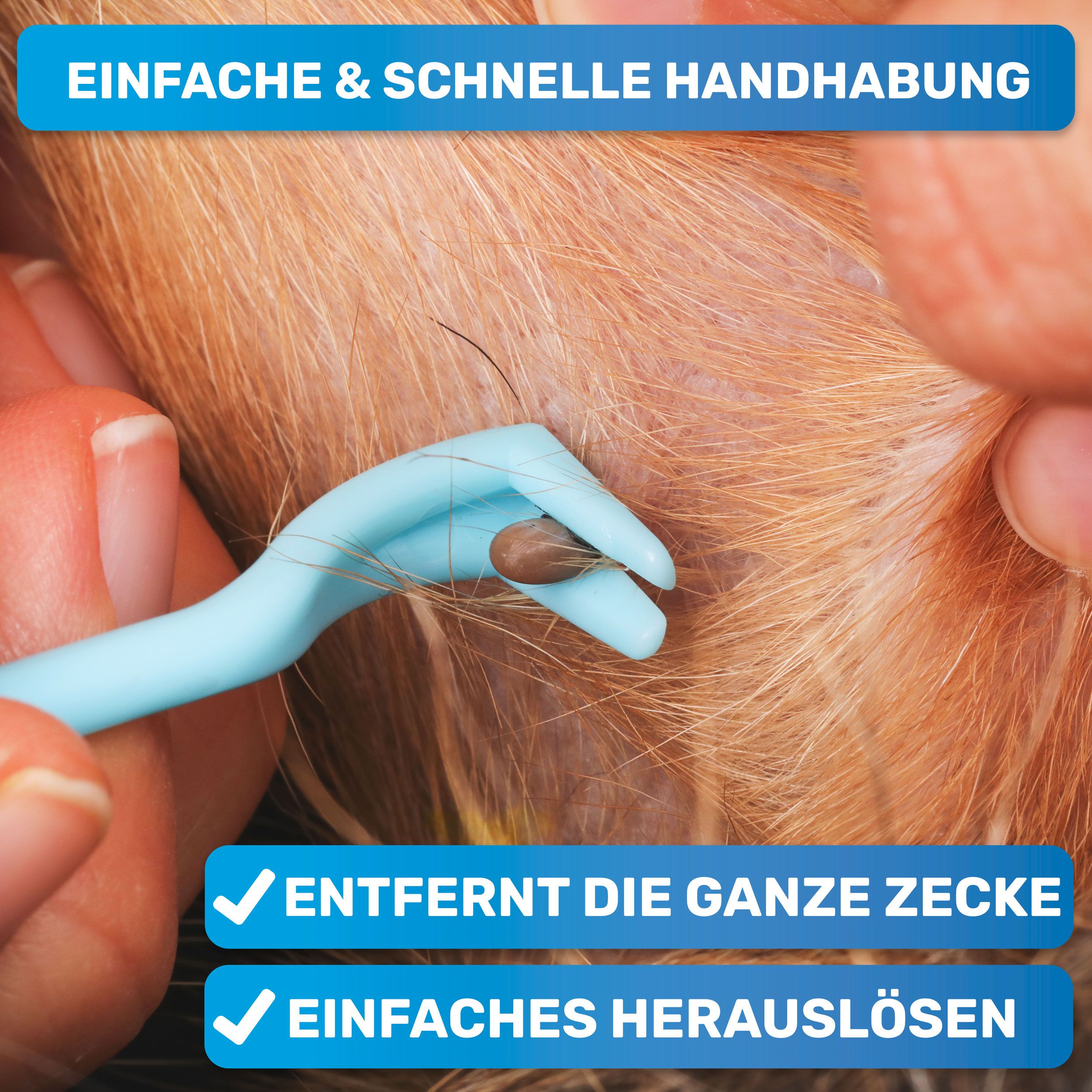 BluePet 3er Set Zeckenhaken als Zeckenentferner