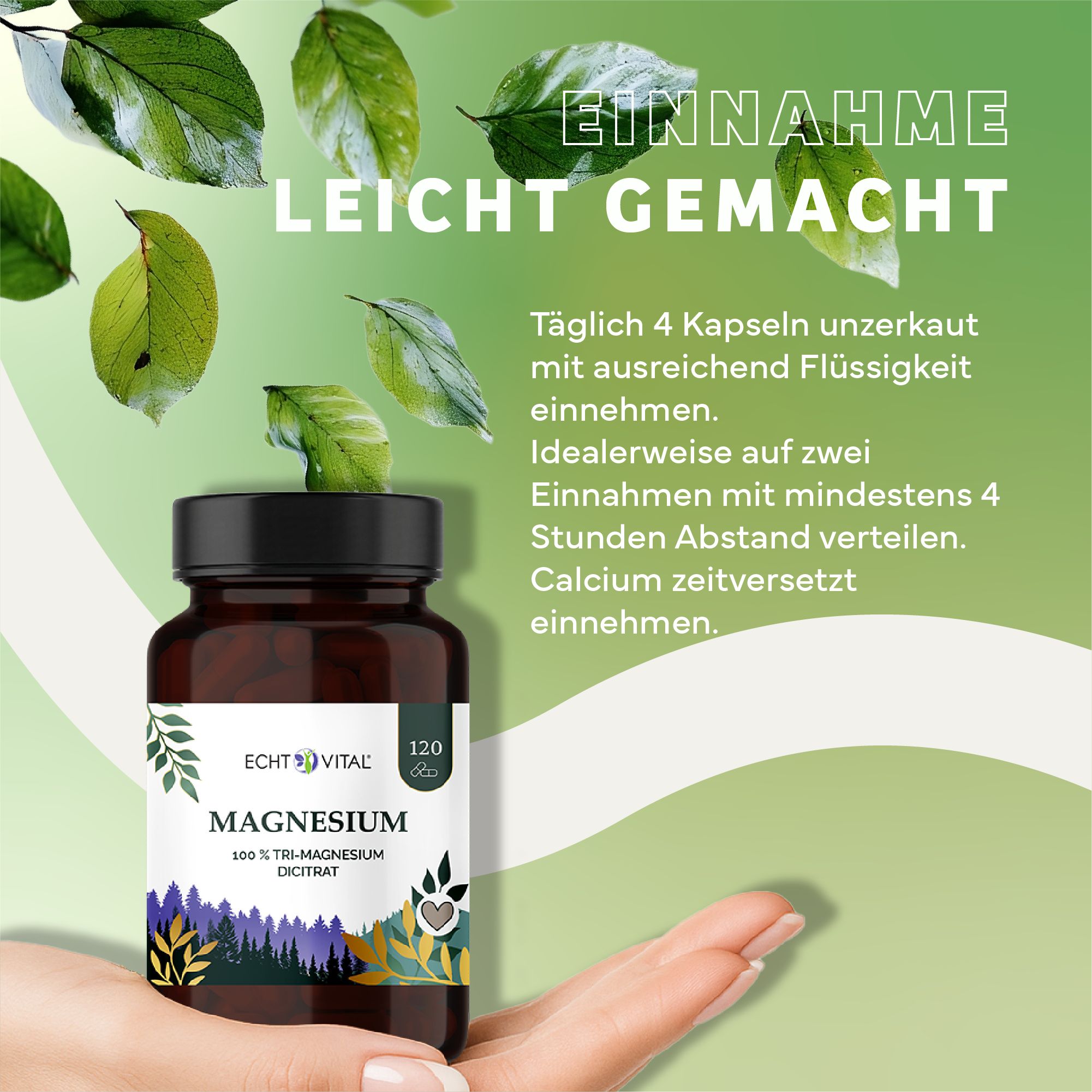 Braune Flasche mit Etikett. Text: Echt Vital Magnesium, 100% Tri-Magnesium Dicitrat. 120 Kapseln. Hand hält Flasche.