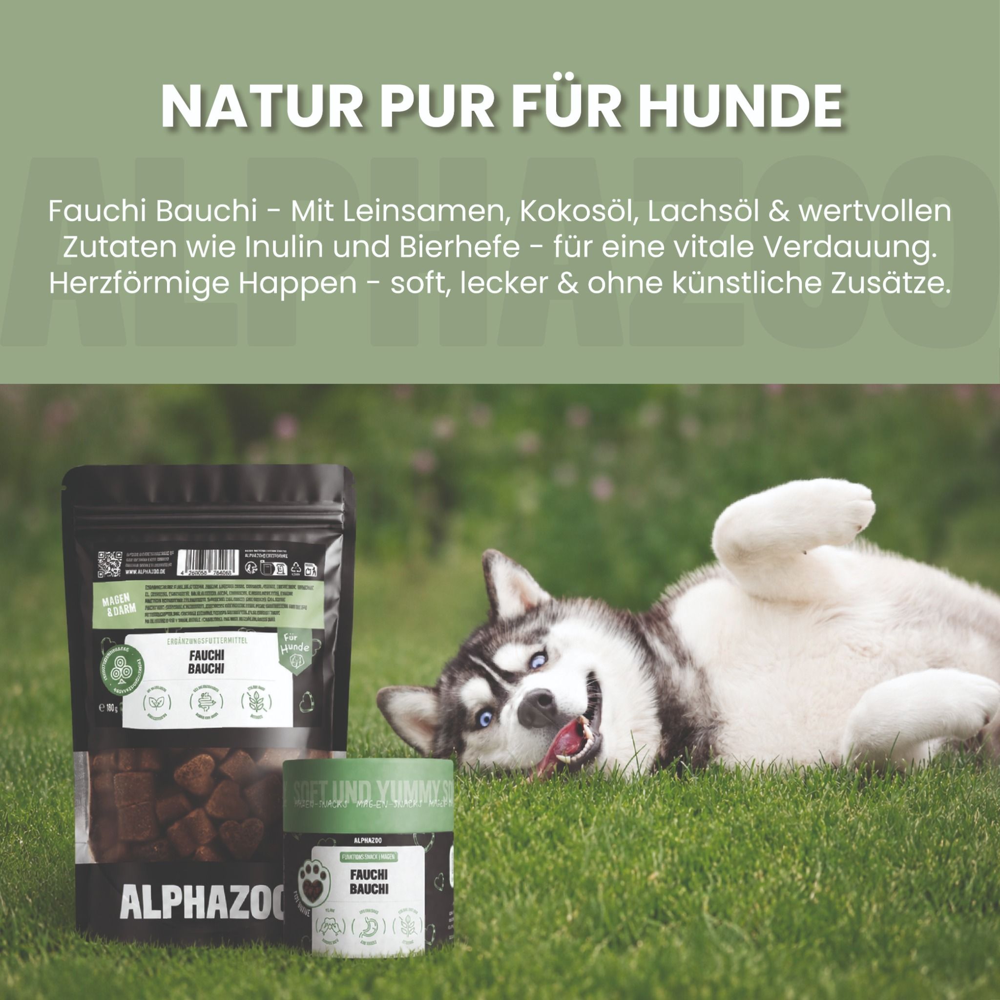 alphazoo Fauchi Bauchi Funktionssnack für Hunde – für Magen & Darm