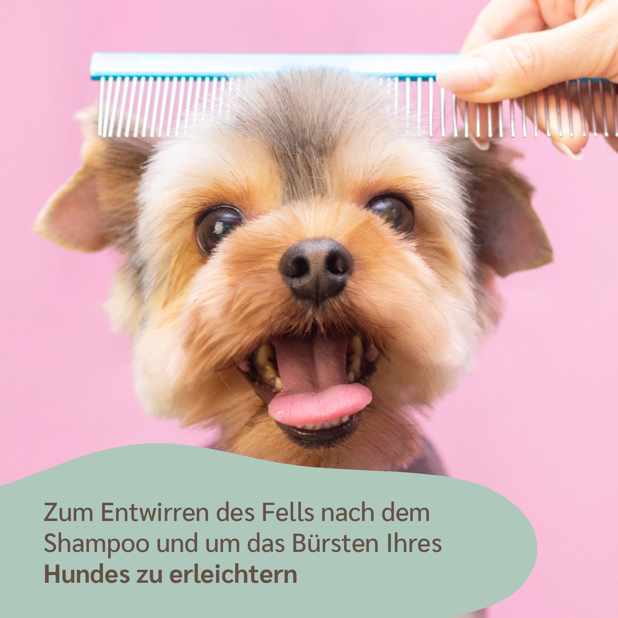 amusi Hunde Conditioner