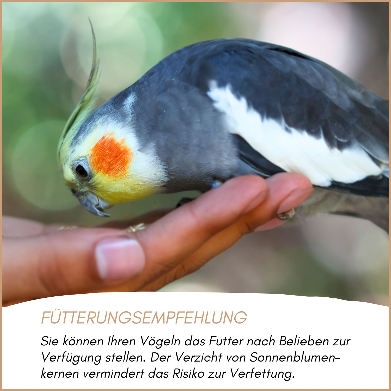 Supravit Vogelfutter Großsittiche Spezial