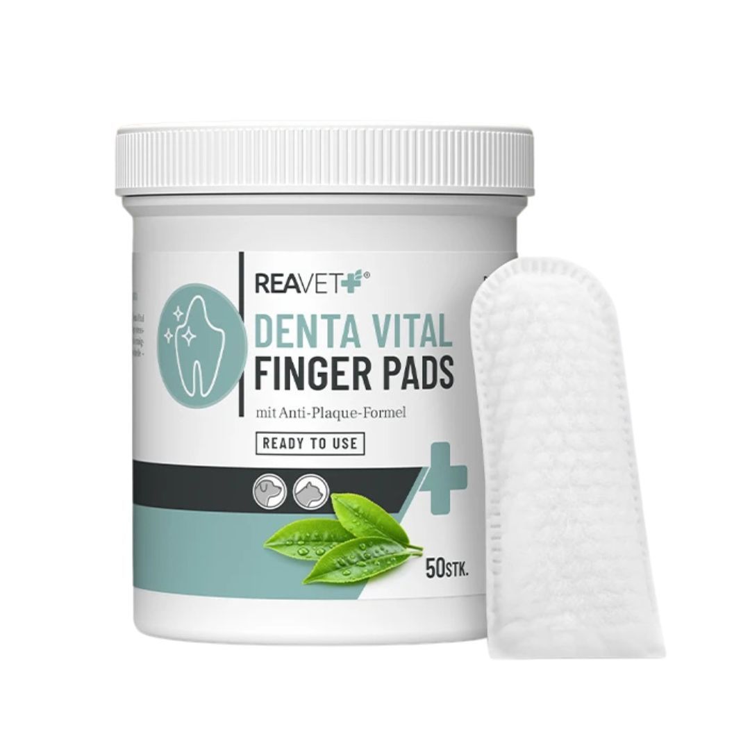 Weiße Dose mit ReaVET Denta Vital Finger Pads. Ein Fingerpad liegt daneben. Aufschrift: Denta Vital Finger Pads, 50 Stk.