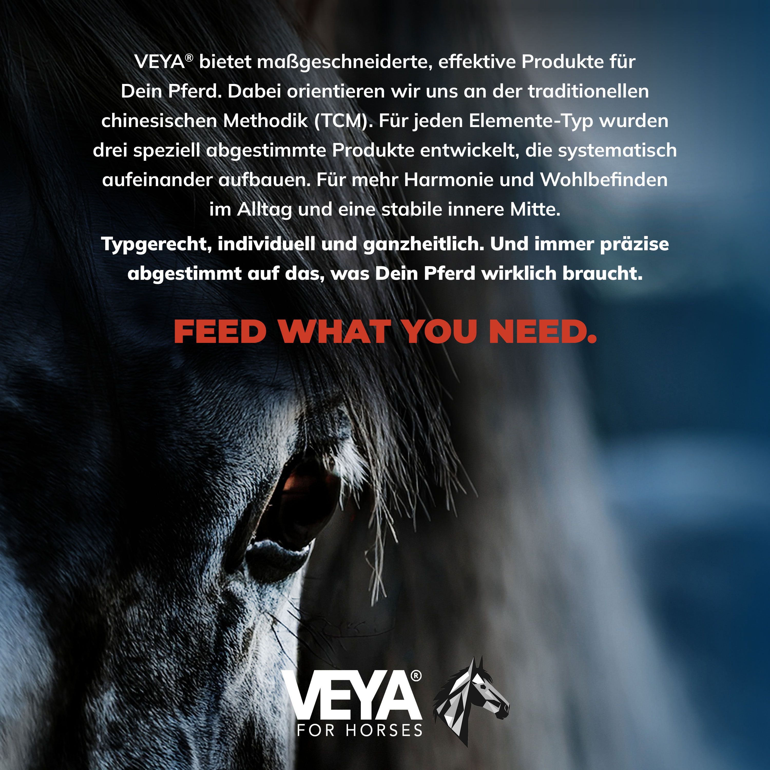 VEYA WASSER-TYP 1 Niere & Blase