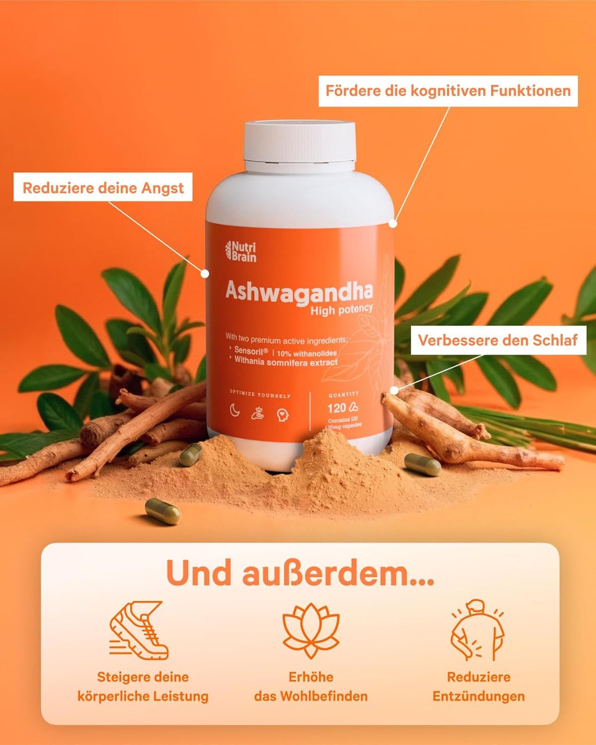 NUTRIBRAIN  Ashwagandha Kapsel