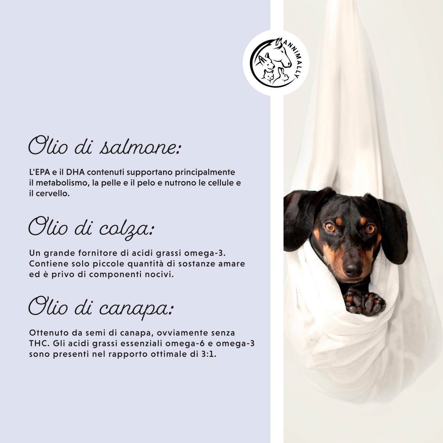 Text über Öle: Lachsöl, Rapsöl, Hanföl. Hund in weißem Tuch. Logo mit Tierabbildungen.
