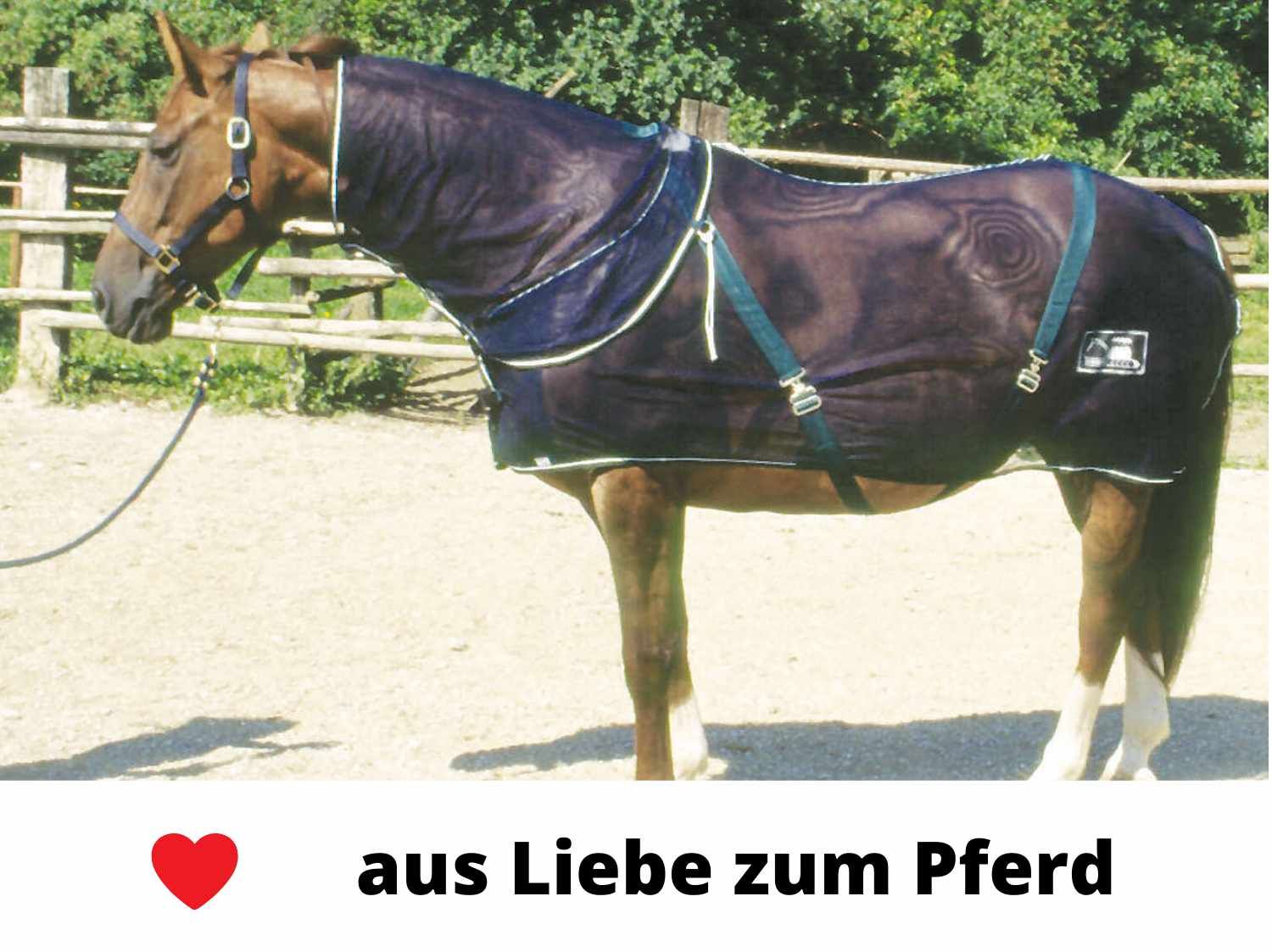 Equitheme Fliegendecke Fresco