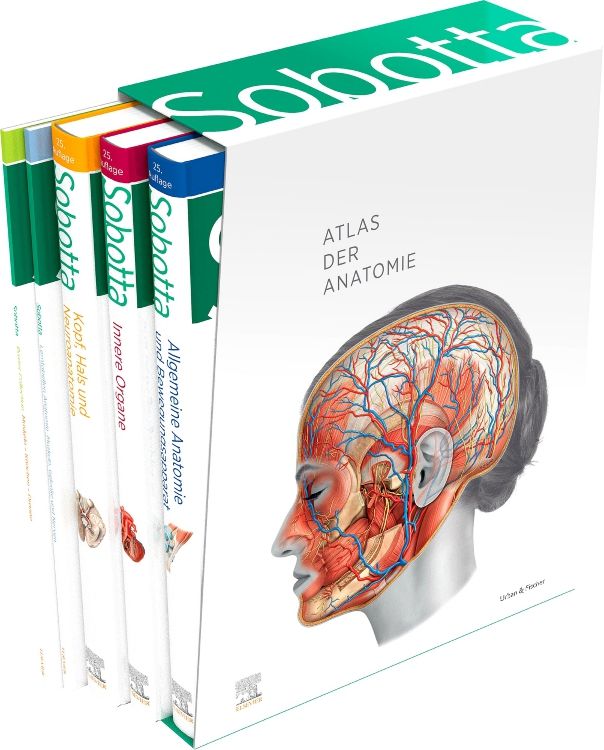 Sobotta Atlas der Anatomie, 3 Bände + Lerntabellen + Poster Collection im Schuber und 6-monatiger