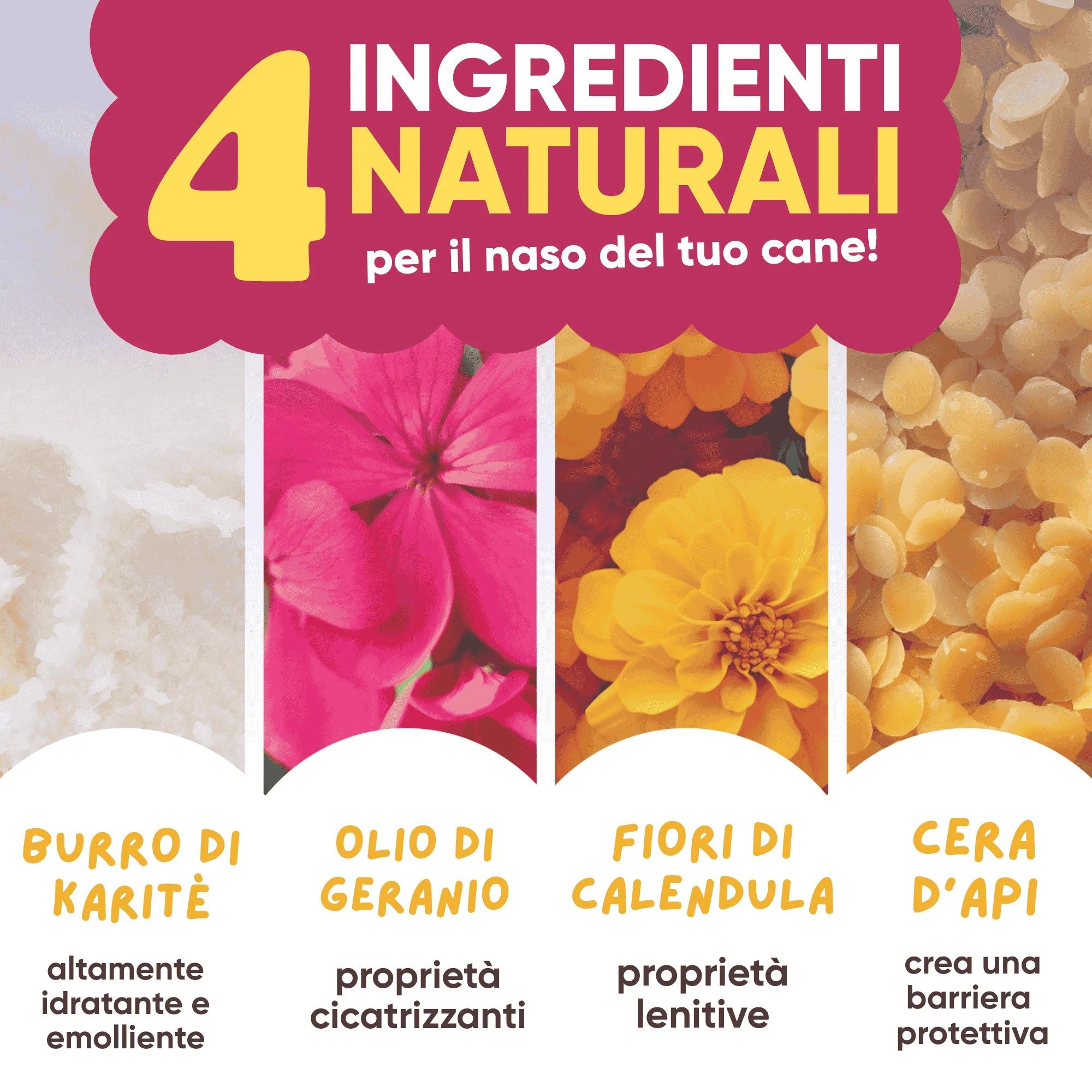 Text: 4 natürliche Inhaltsstoffe für die Nase Ihres Hundes! Sheabutter, Geranienöl, Calendulablüten, Bienenwachs.