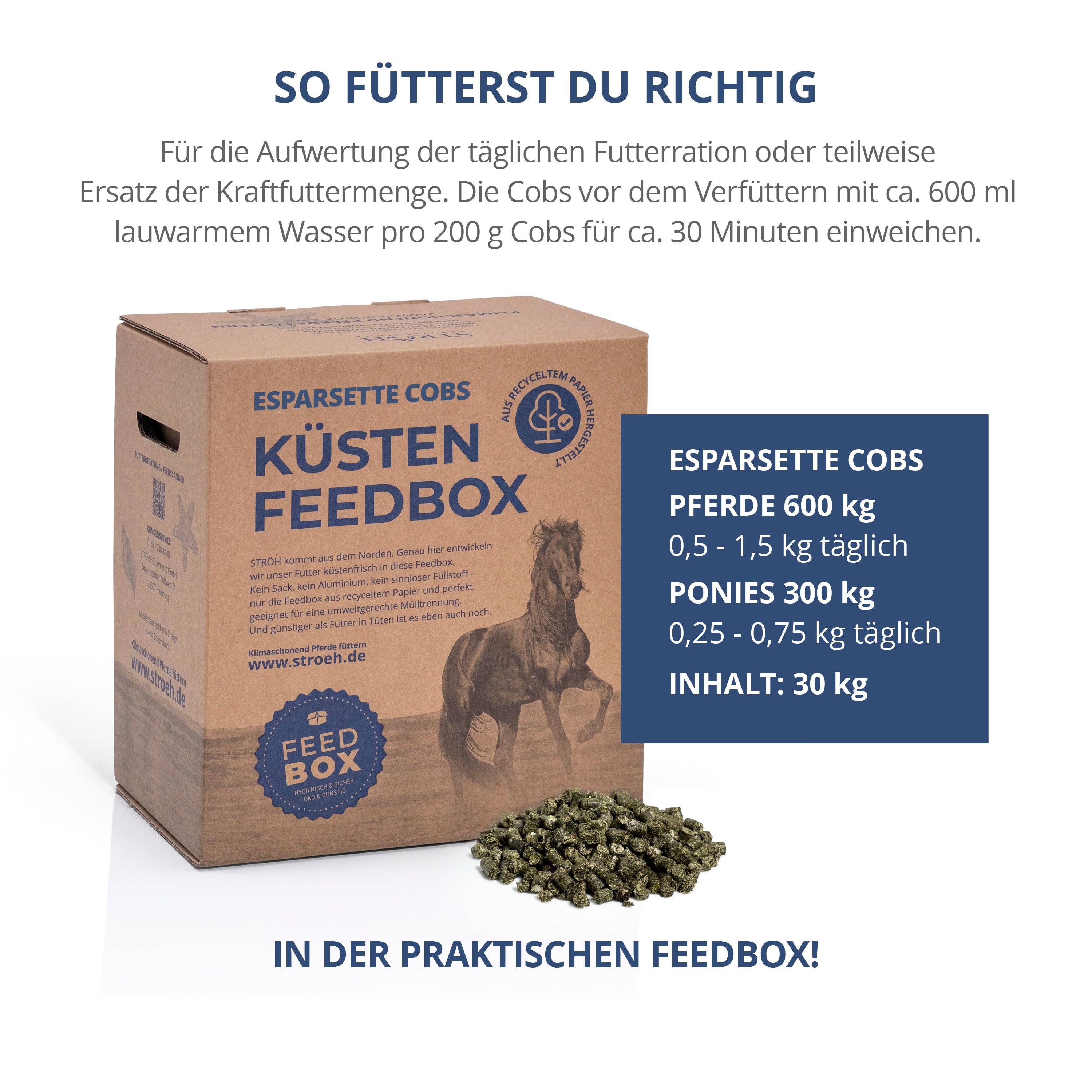 Karton mit Esparsette Cobs, Küsten Feedbox. Text: So fütterst du richtig. Cobs und Tabelle: Fütterungsempfehlung für Pferde und Ponys.