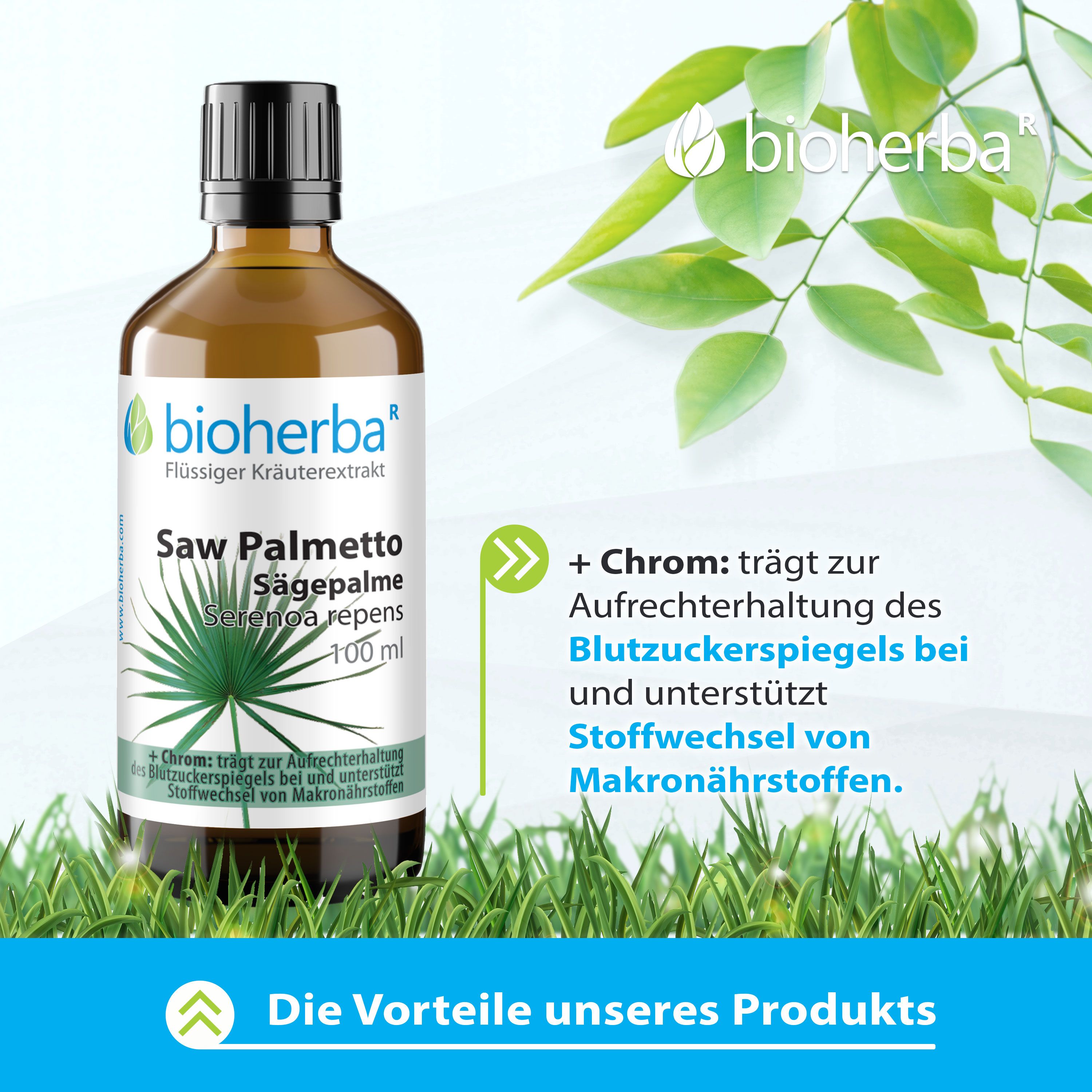 Bioherba Saw Palmetto Sägepalme Tropfen Tinktur