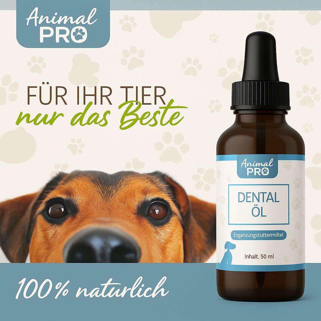 Braune Flasche mit Tropfer neben einem Hund. Auf der Flasche steht "Animal Pro" und "Dental Öl". Hintergrund mit Pfotenabdrücken.