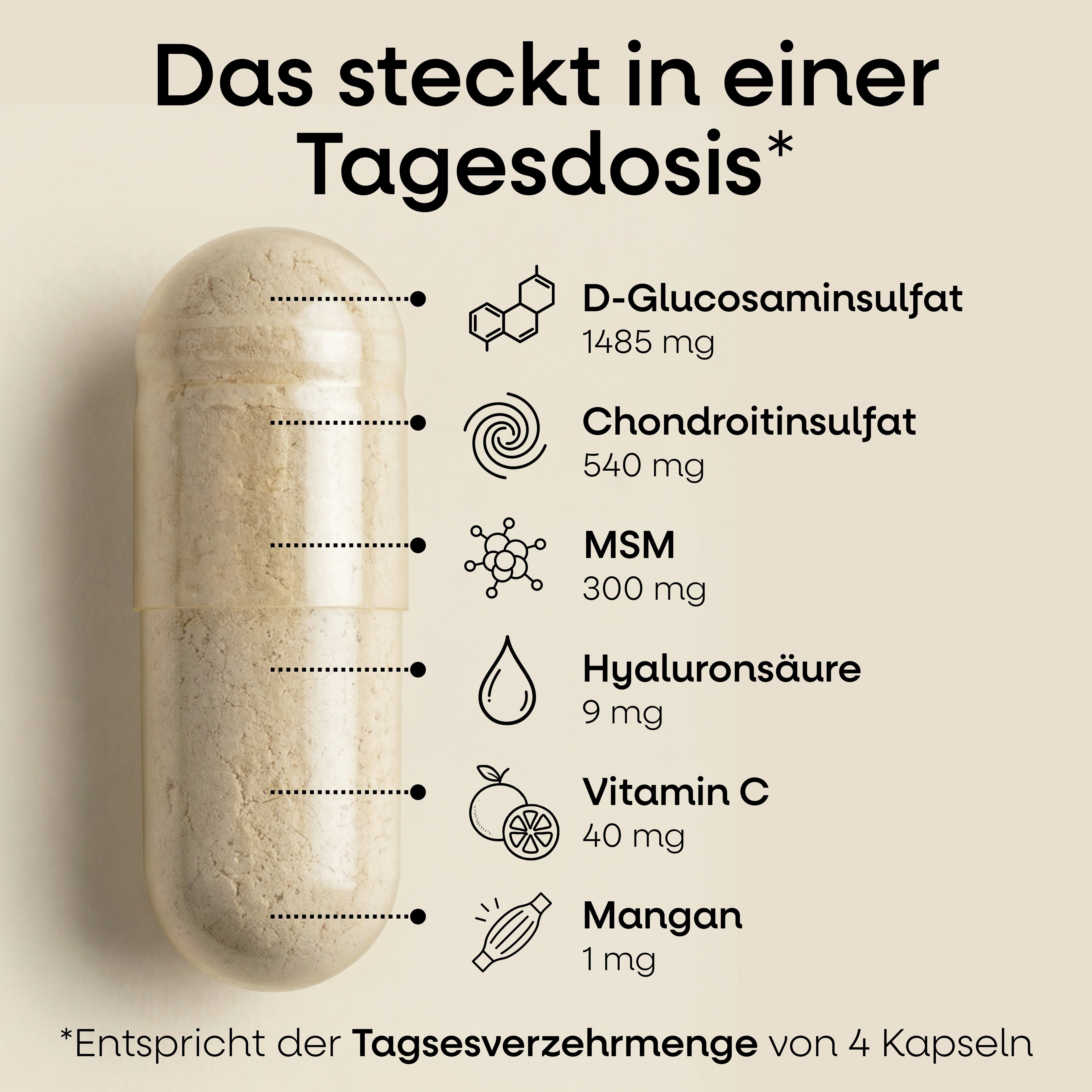 Nature's Way Glucosamin Chondroitin MSM Kapseln
