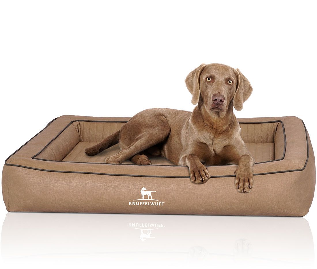 Knuffelwuff Orthopädisches Hundebett Montego