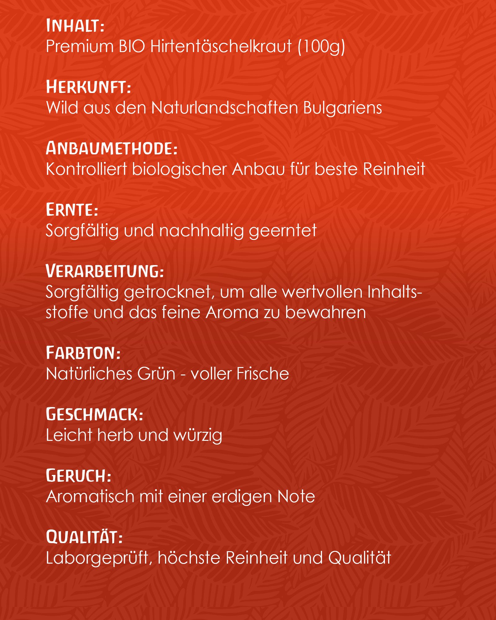 Tausendkraut Hirtentäschelkraut BIO