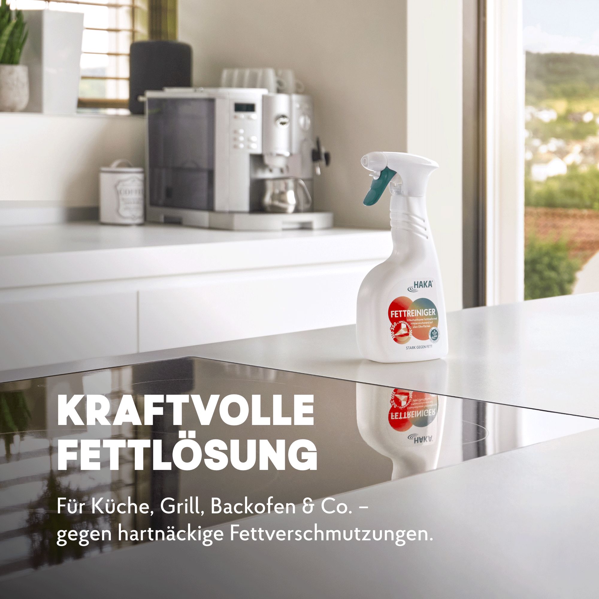 HAKA Fettreiniger Spray Küchenreiniger