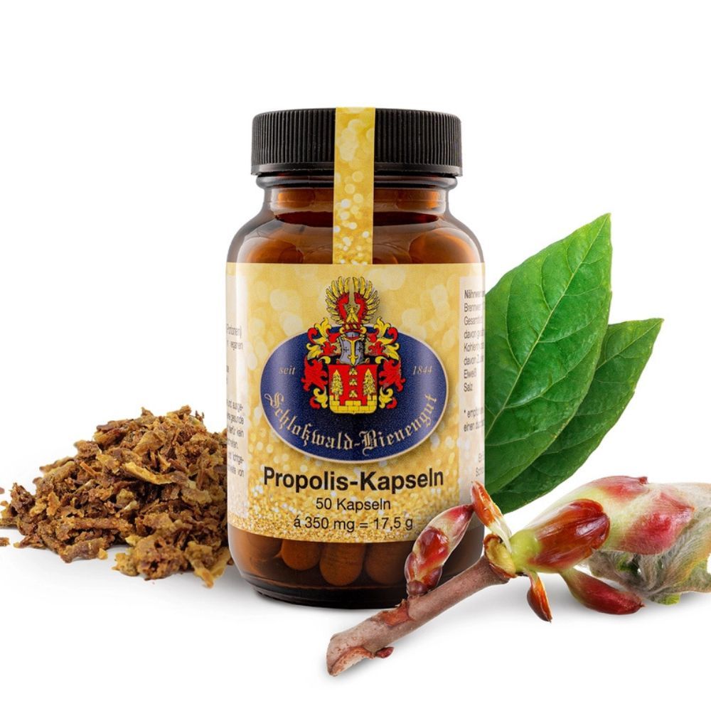 Braune Glasflasche mit gelbem Etikett. Daneben Propolis, Blätter und Knospen. Aufschrift: Propolis-Kapseln, 50 Kapseln.
