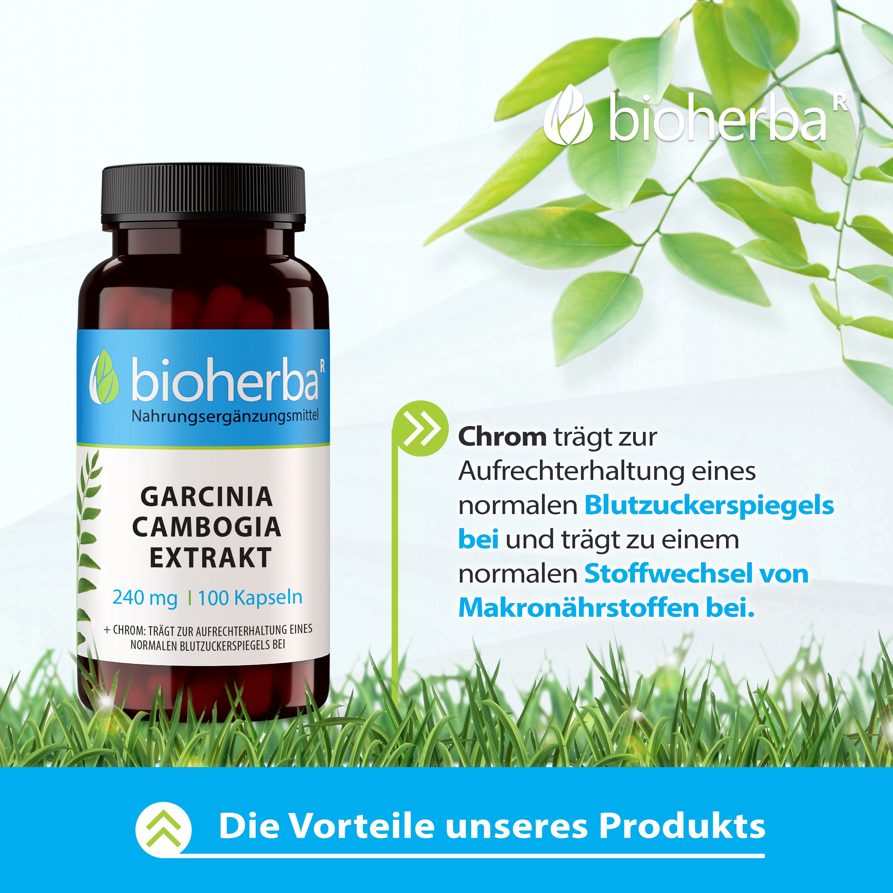 Braune Flasche mit Kapseln auf Gras. Text: Garcinia Cambogia Extrakt, 240 mg, 100 Kapseln. Marke und Logo. Vorteile des Produkts.