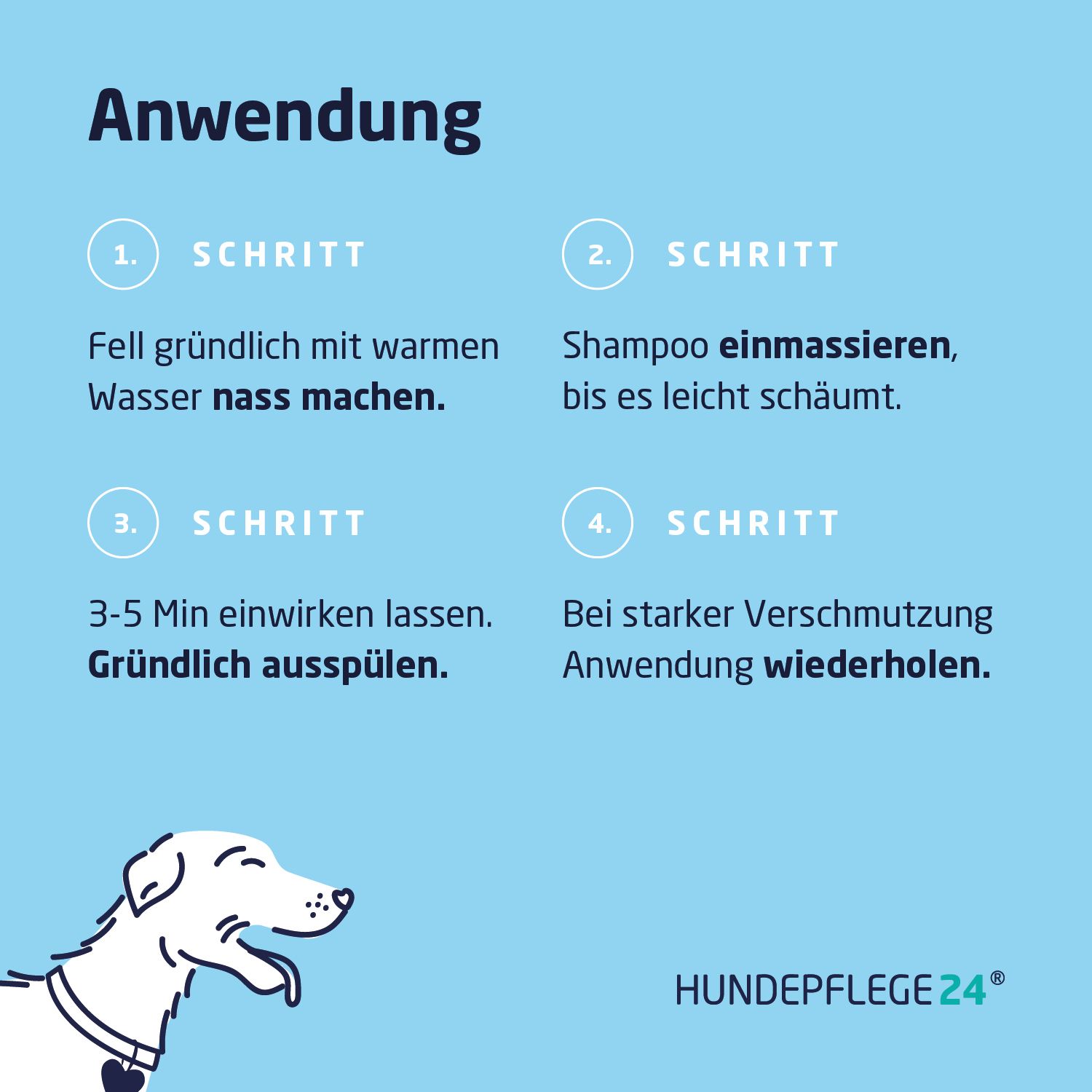 Anwendungsschritte für Hundeshampoo. 1. Fell nass machen. 2. Shampoo einmassieren. 3. 3-5 Minuten einwirken lassen. 4. Gründlich ausspülen.