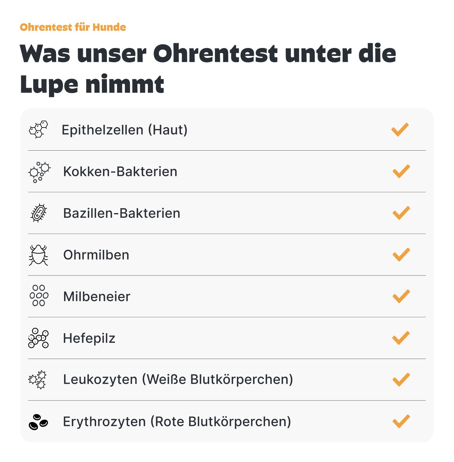 Infografik mit Checklisten. Auflistung von Elementen, die der Test untersucht: Epithelzellen, Bakterien, Milben, etc.