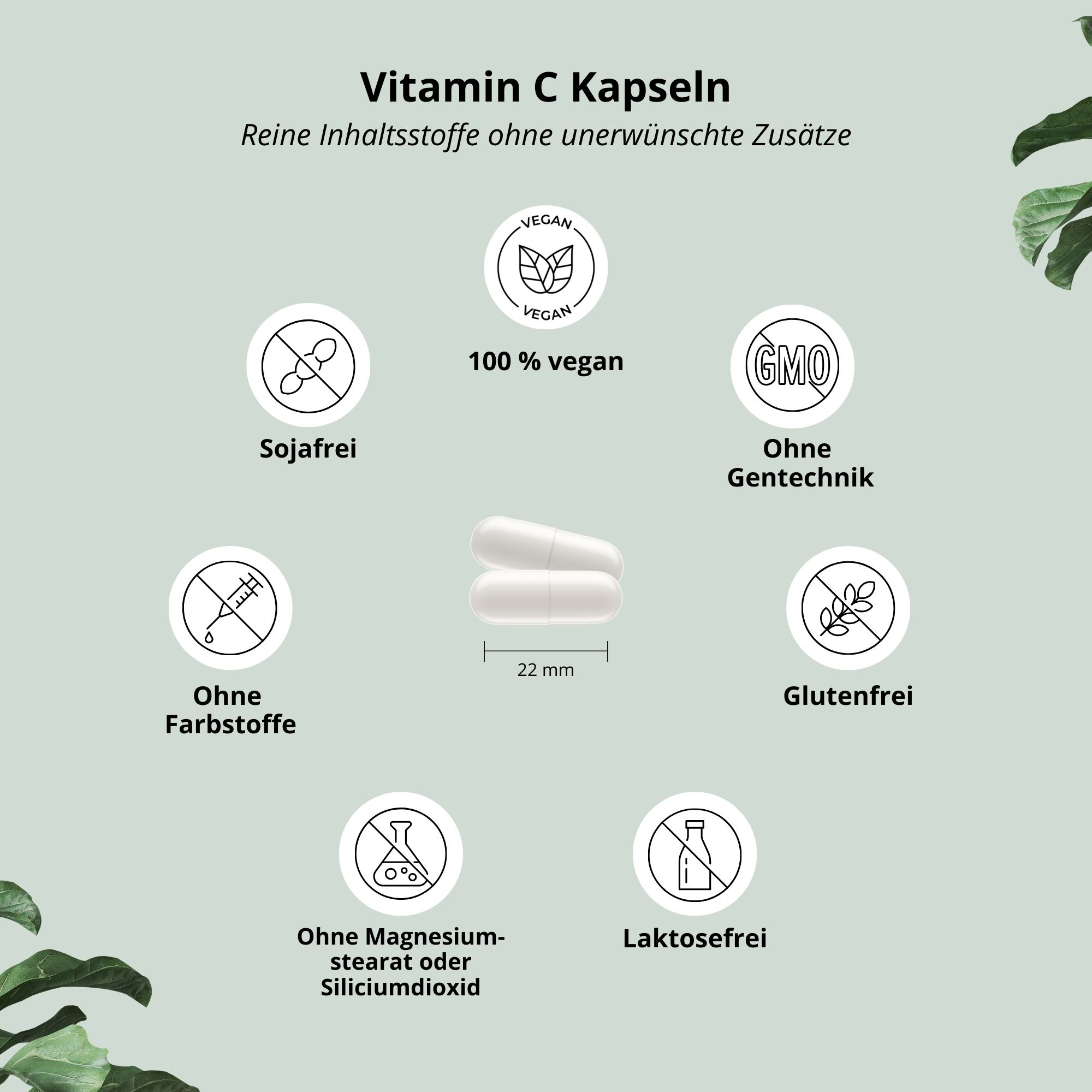 Zwei weiße Kapseln. Text: Reine Inhaltsstoffe ohne unerwünschte Zusätze. Vegan, sojafrei, ohne Gentechnik, ohne Farbstoffe, glutenfrei, ohne Magnesiumstearat, laktosefrei.