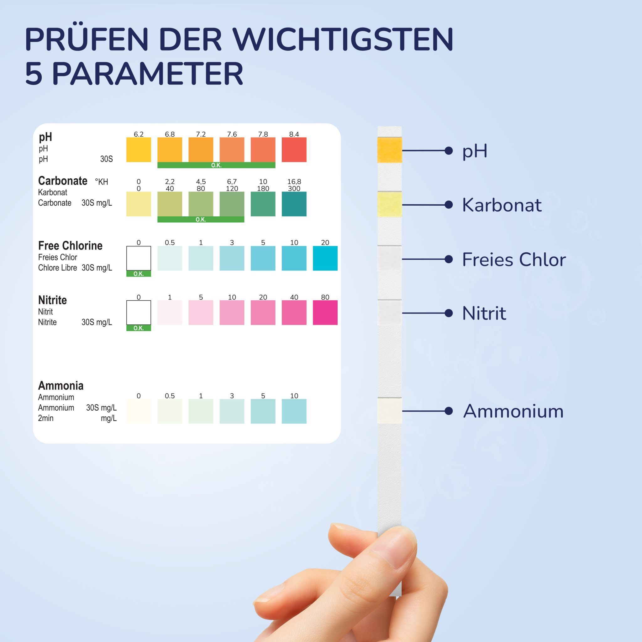 Teststreifen mit Farbskala. Farbskala zeigt pH, Karbonat, freies Chlor, Nitrit, Ammonium. Hand hält Teststreifen.