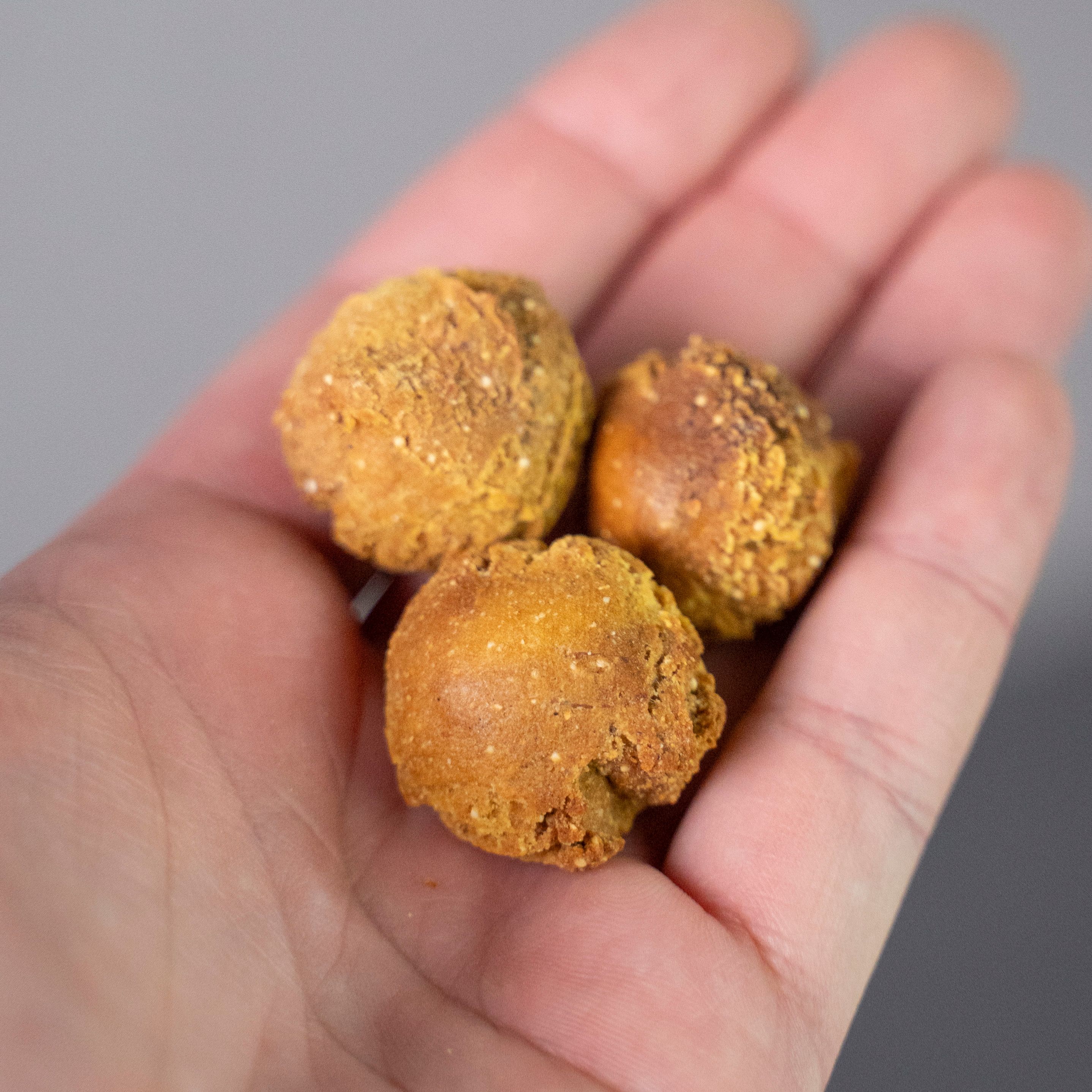 Drei goldbraune Hundesnacks in einer Hand. Die Snacks sind rund und haben eine unebene Oberfläche.