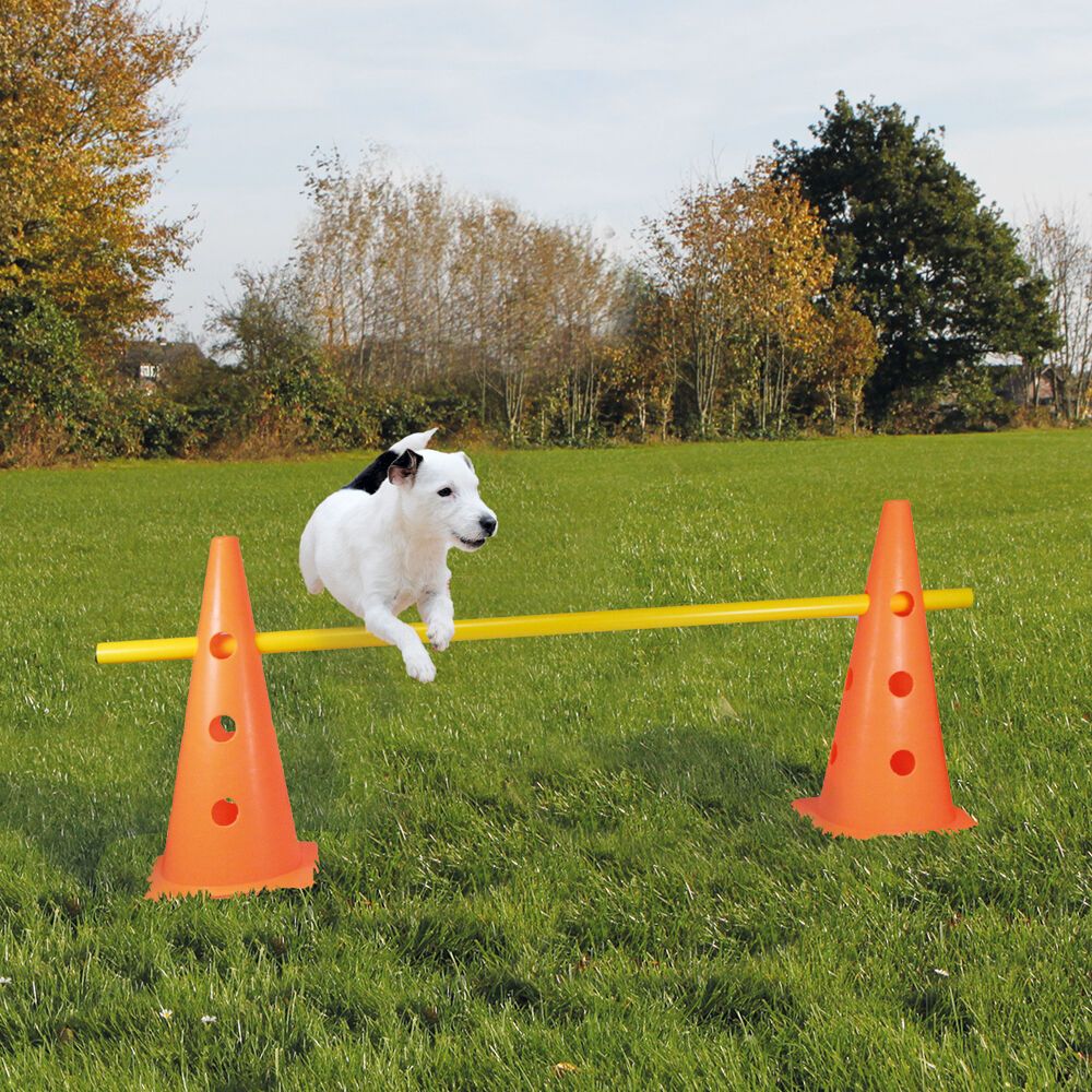 Pylonen - Hürde - Agility - 2 Pylonen plus eine stabile Kunststoff-Verbindungsstange