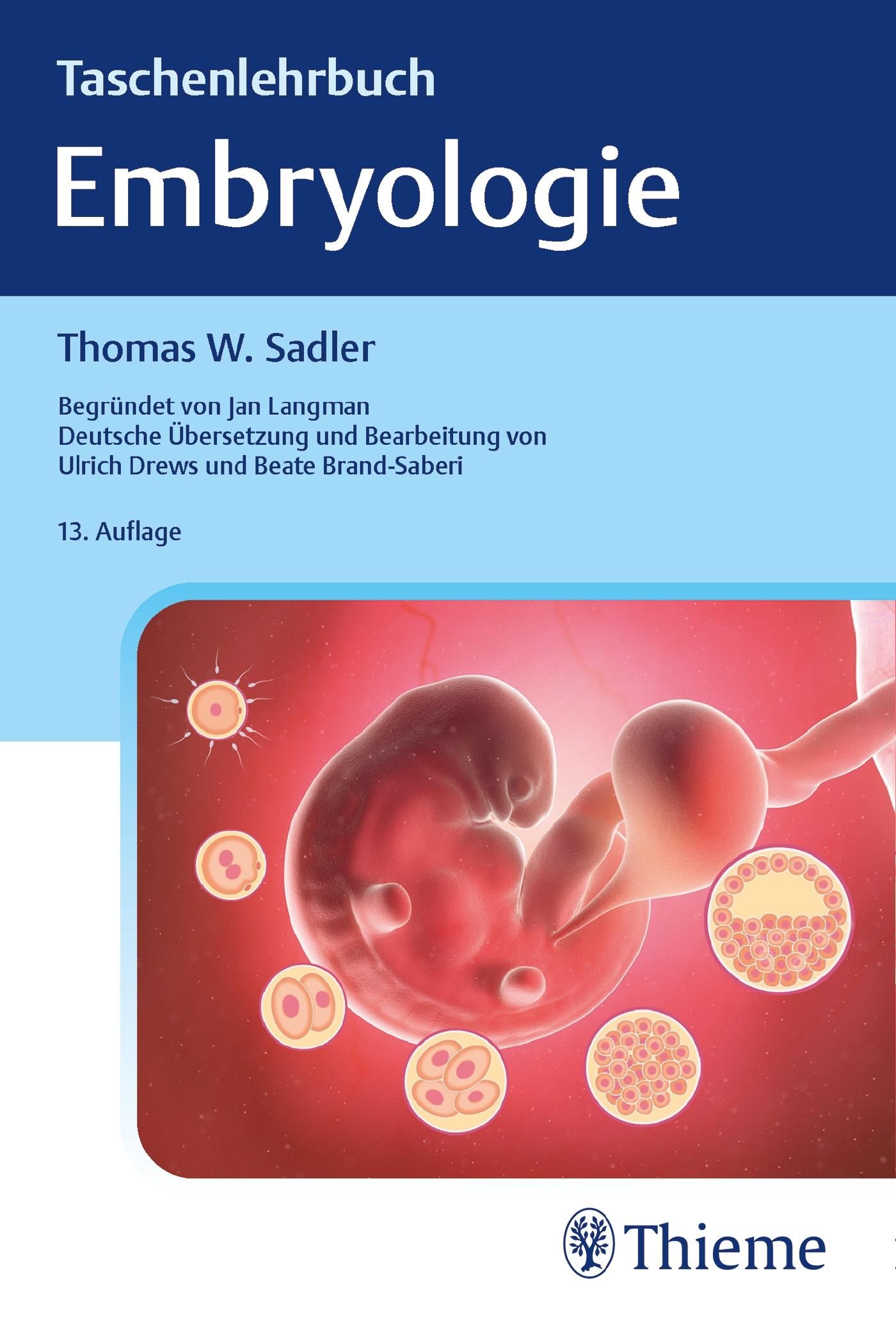 Buchcover: Taschenlehrbuch Embryologie. Titel, Autor Thomas W. Sadler, 13. Auflage. Abbildung eines Embryos und Zellen.