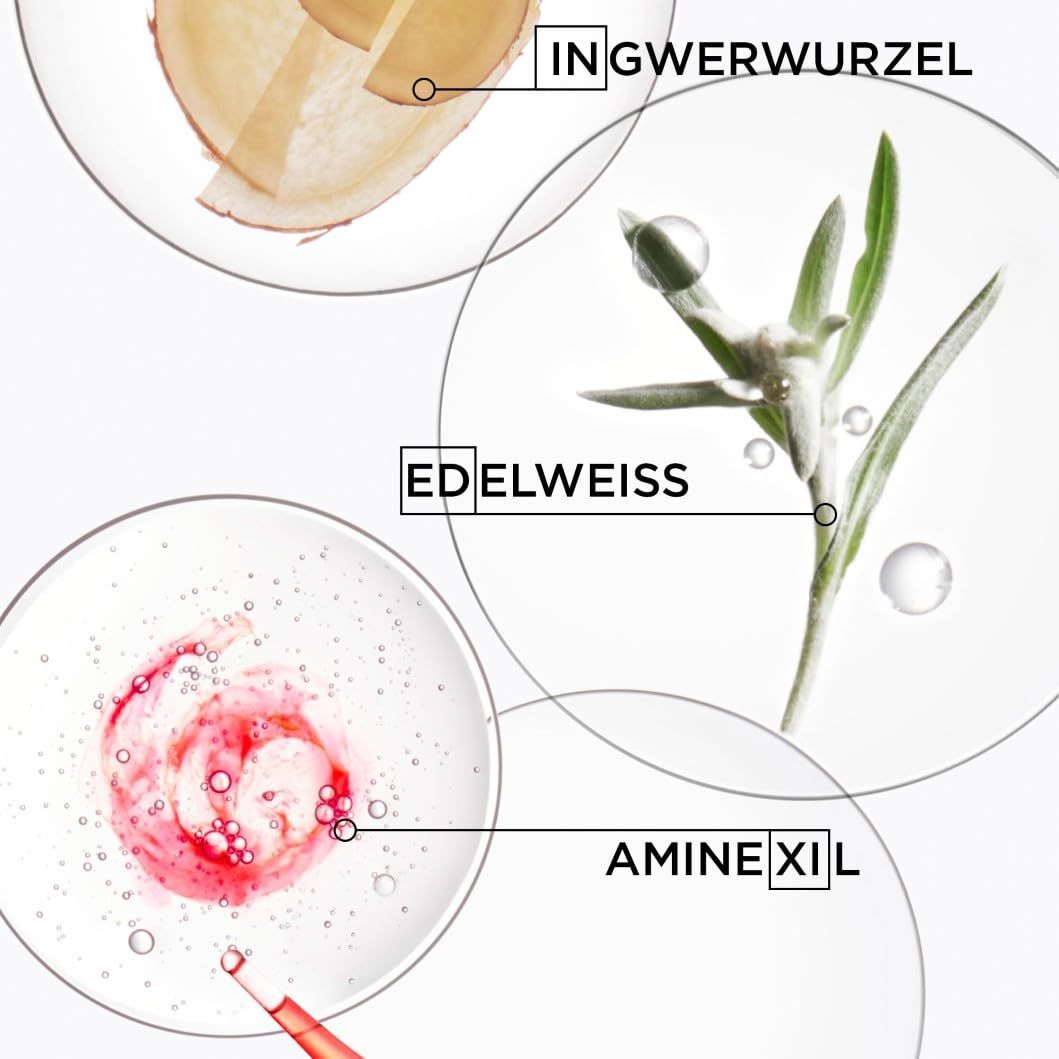 Nahaufnahme von Inhaltsstoffen: Ingwerwurzel, Edelweiß und Aminexil. Grafische Darstellung mit Produktbestandteilen.