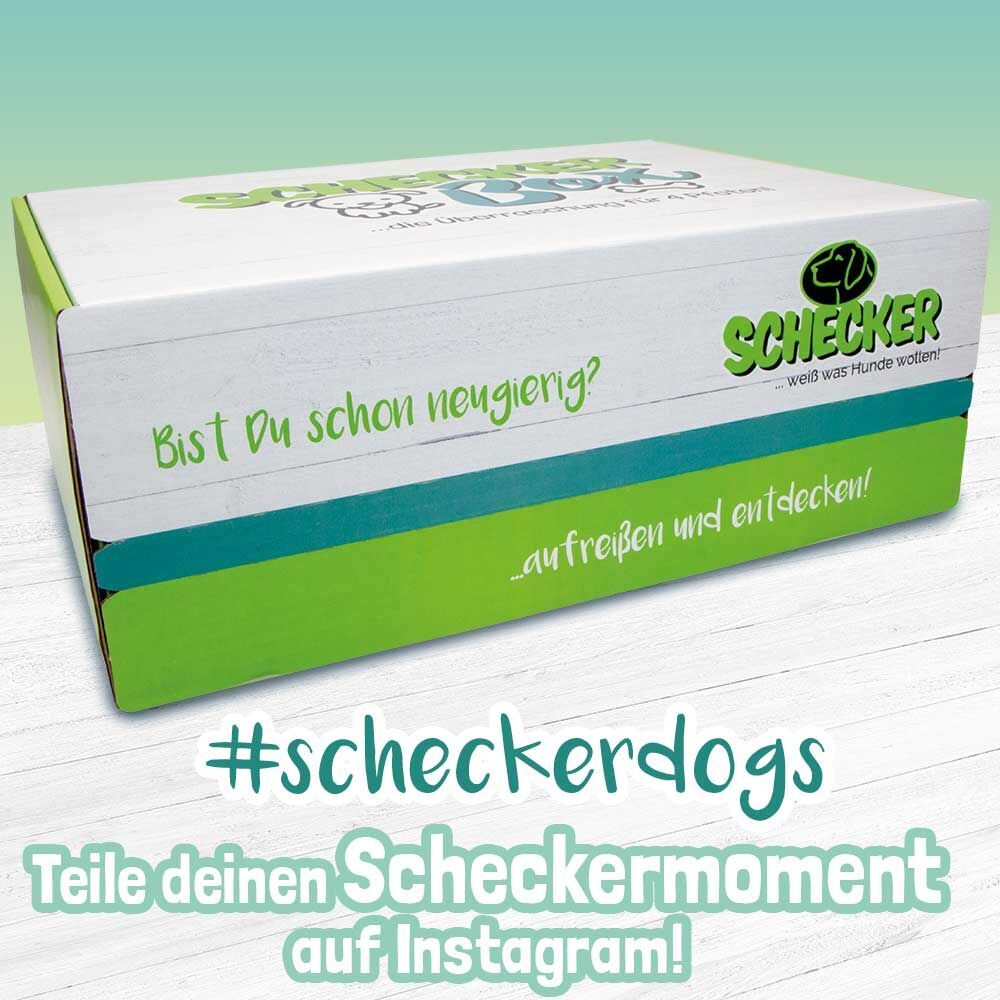 Weiße Box mit grünem Streifen. Aufschrift: Schecker Box. Text: Bist Du schon neugierig? Hashtag #scheckerdogs. Instagram-Logo.