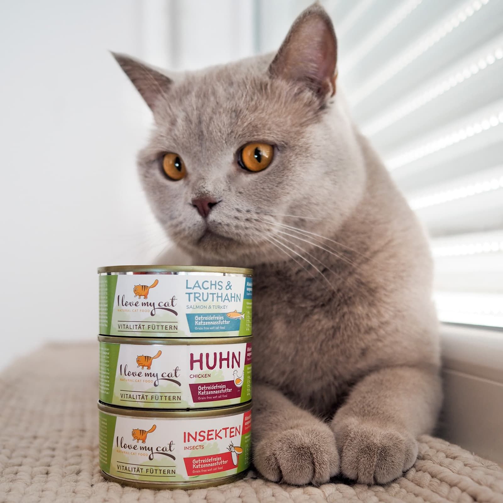 Drei Katzenfutterdosen, gestapelt. Aufschrift: I love my cat. Verschiedene Sorten: Lachs, Huhn, Insekten. Katze sitzt daneben.