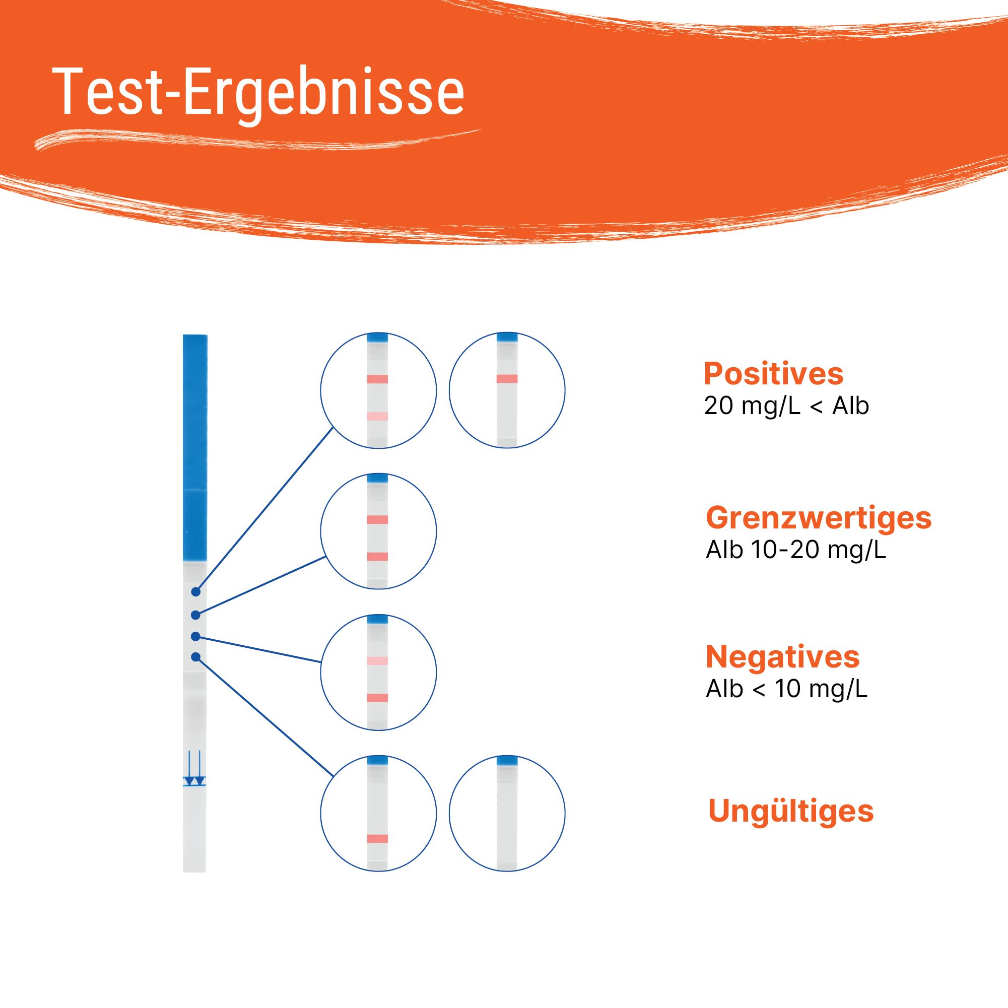 Patris Health® Nierenfunktions-Selbsttest (Albumin)