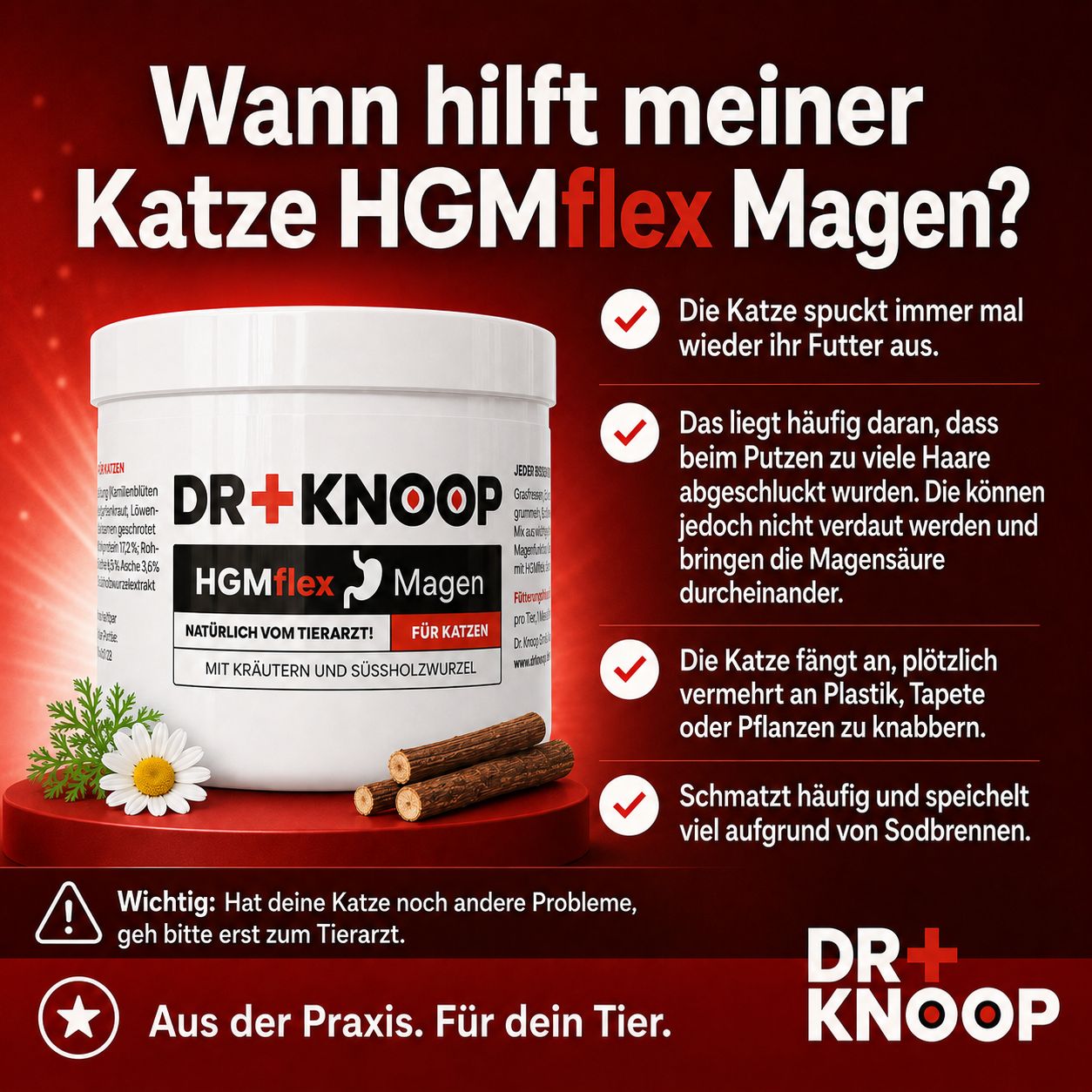 Dr. Knoop HGMflex Magen Behälter neben Kamille und Süßholzwurzeln. Text: Wann hilft meiner Katze HGMflex Magen?