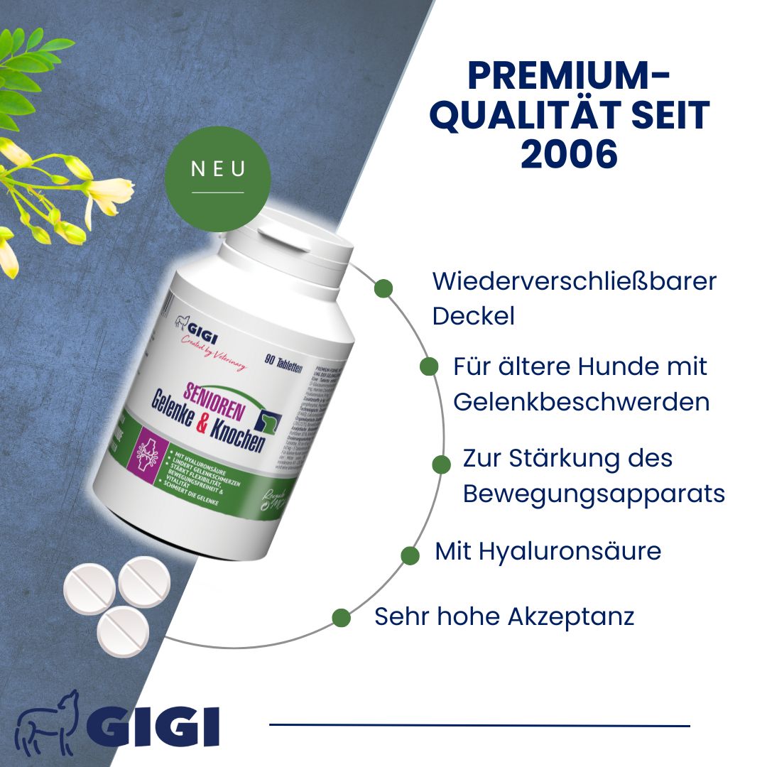 Tablettenflasche mit Senioren Gelenke & Knochen. Wiederverschließbarer Deckel. Für ältere Hunde. Mit Hyaluronsäure. Premium-Qualität seit 2006.